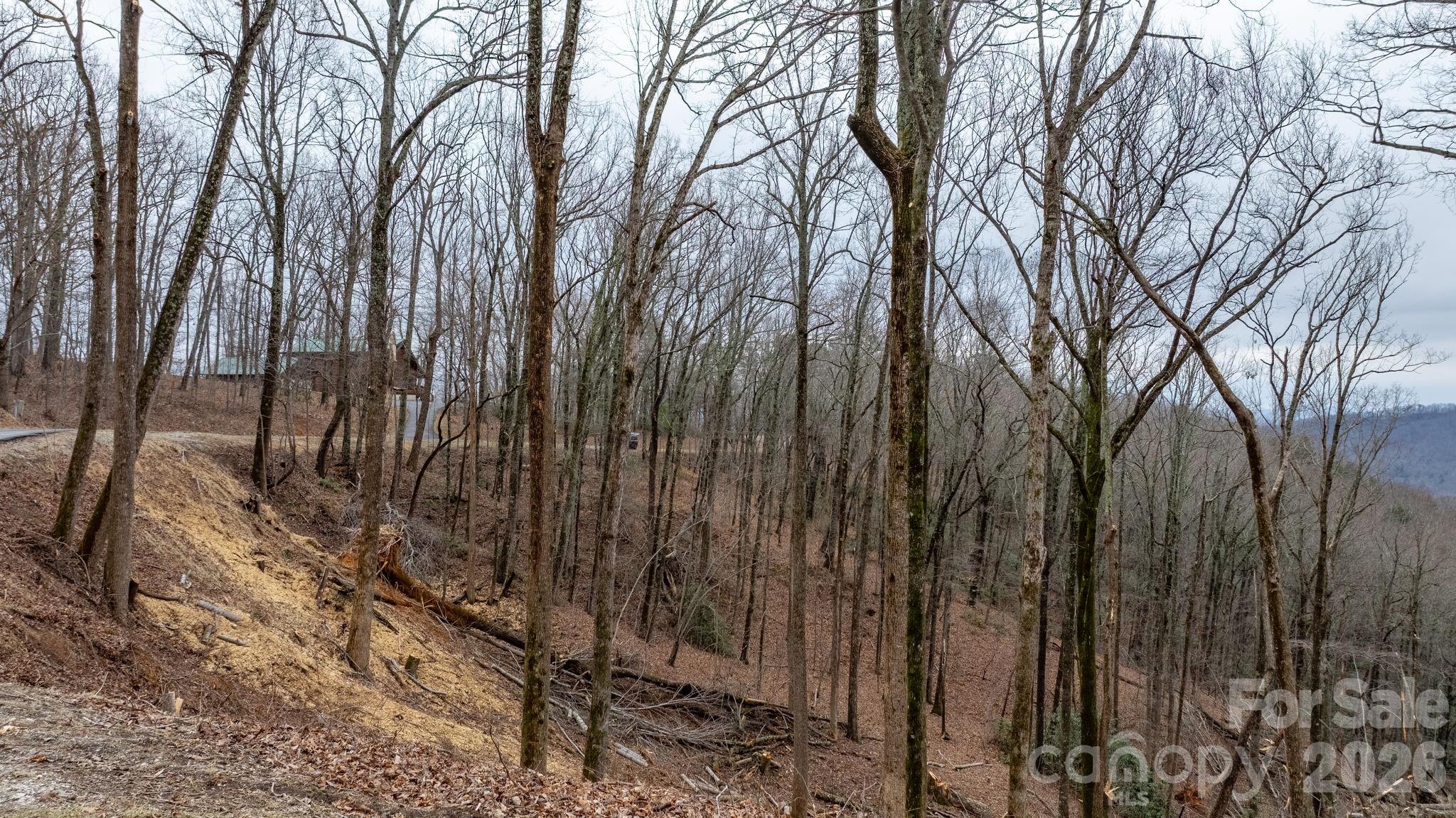Lot at 0 Mountain Crest Drive S, Marion, photo 9 of 31