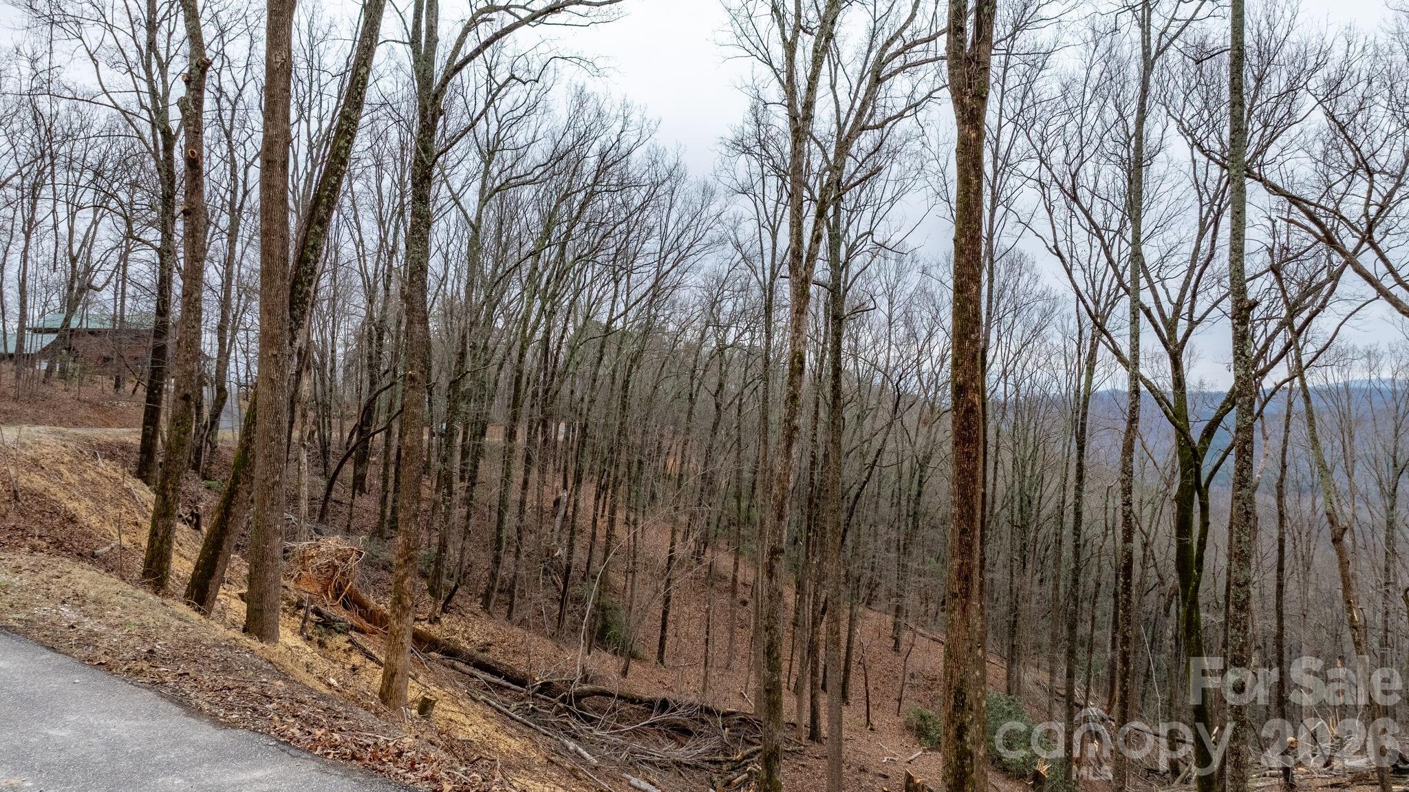 Lot at 0 Mountain Crest Drive S, Marion, photo 10 of 31