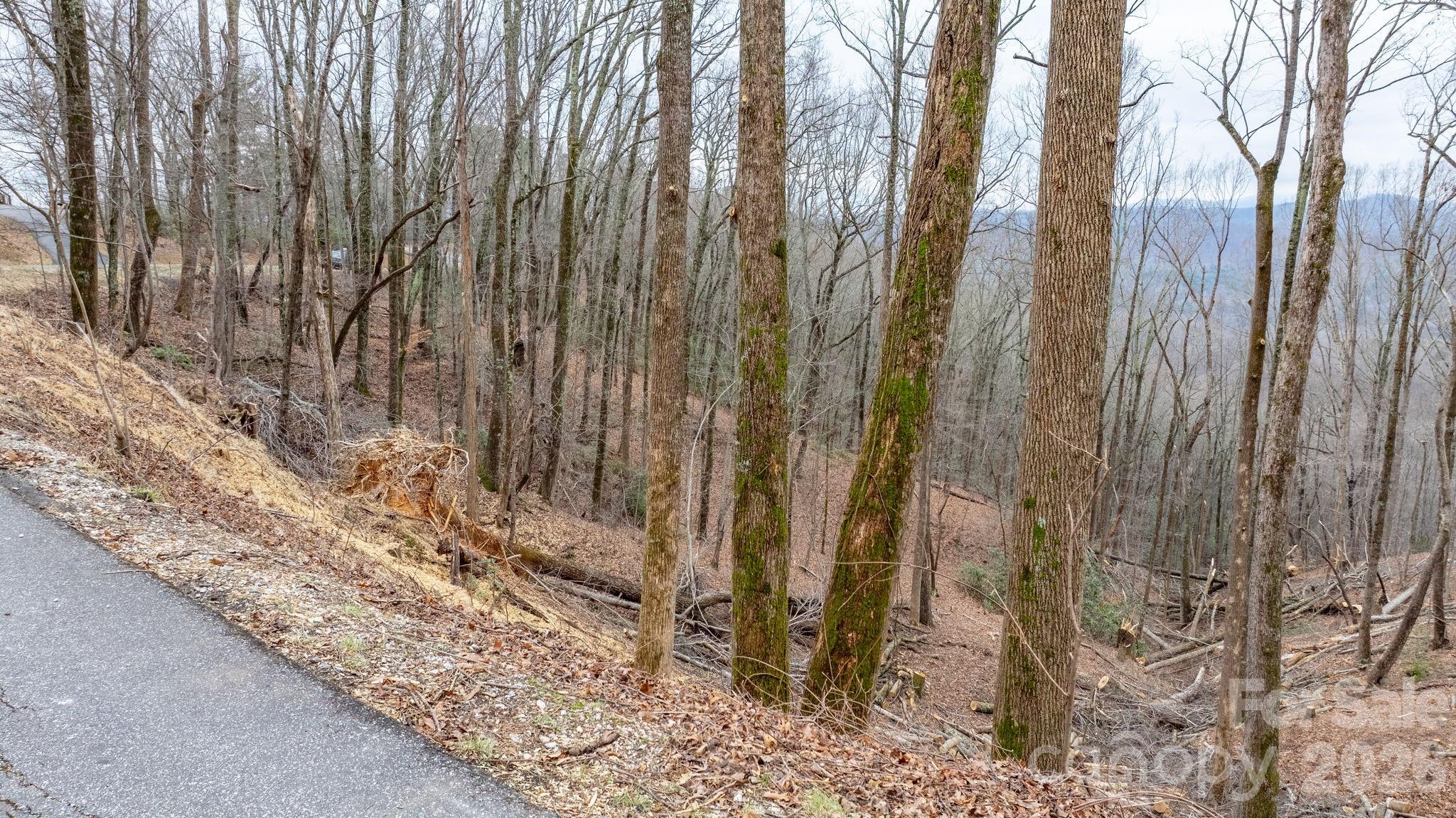 Lot at 0 Mountain Crest Drive S, Marion, photo 11 of 31