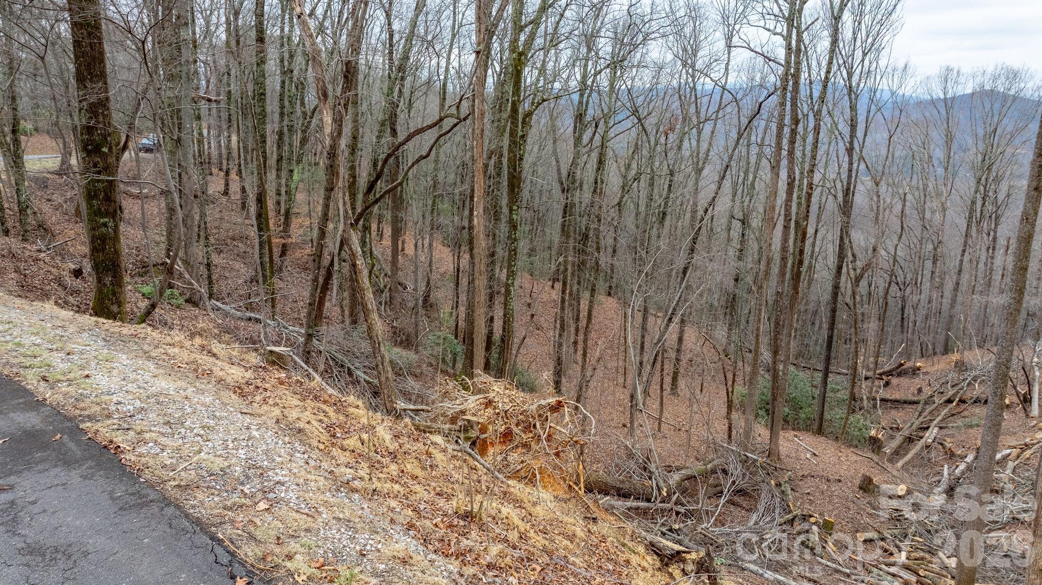 Lot at 0 Mountain Crest Drive S, Marion, photo 12 of 31