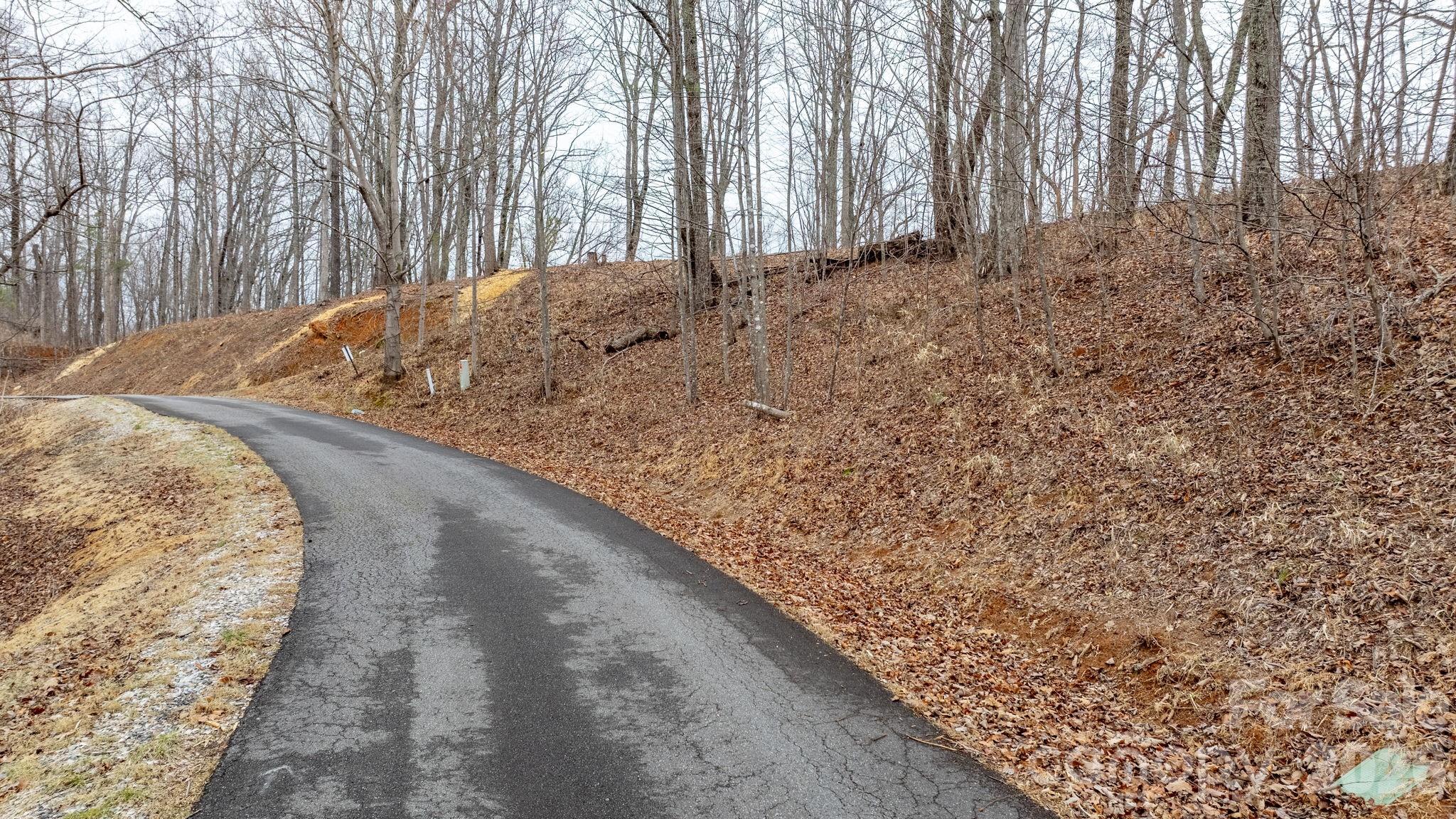 Lot at 0 Mountain Crest Drive S, Marion, photo 3 of 27