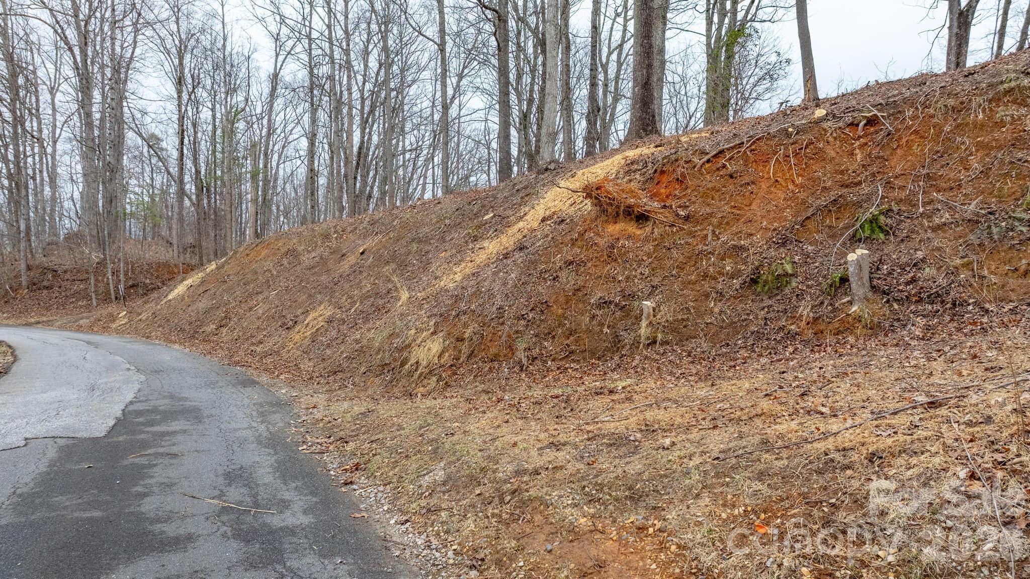 Lot at 0 Mountain Crest Drive S, Marion, photo 5 of 27