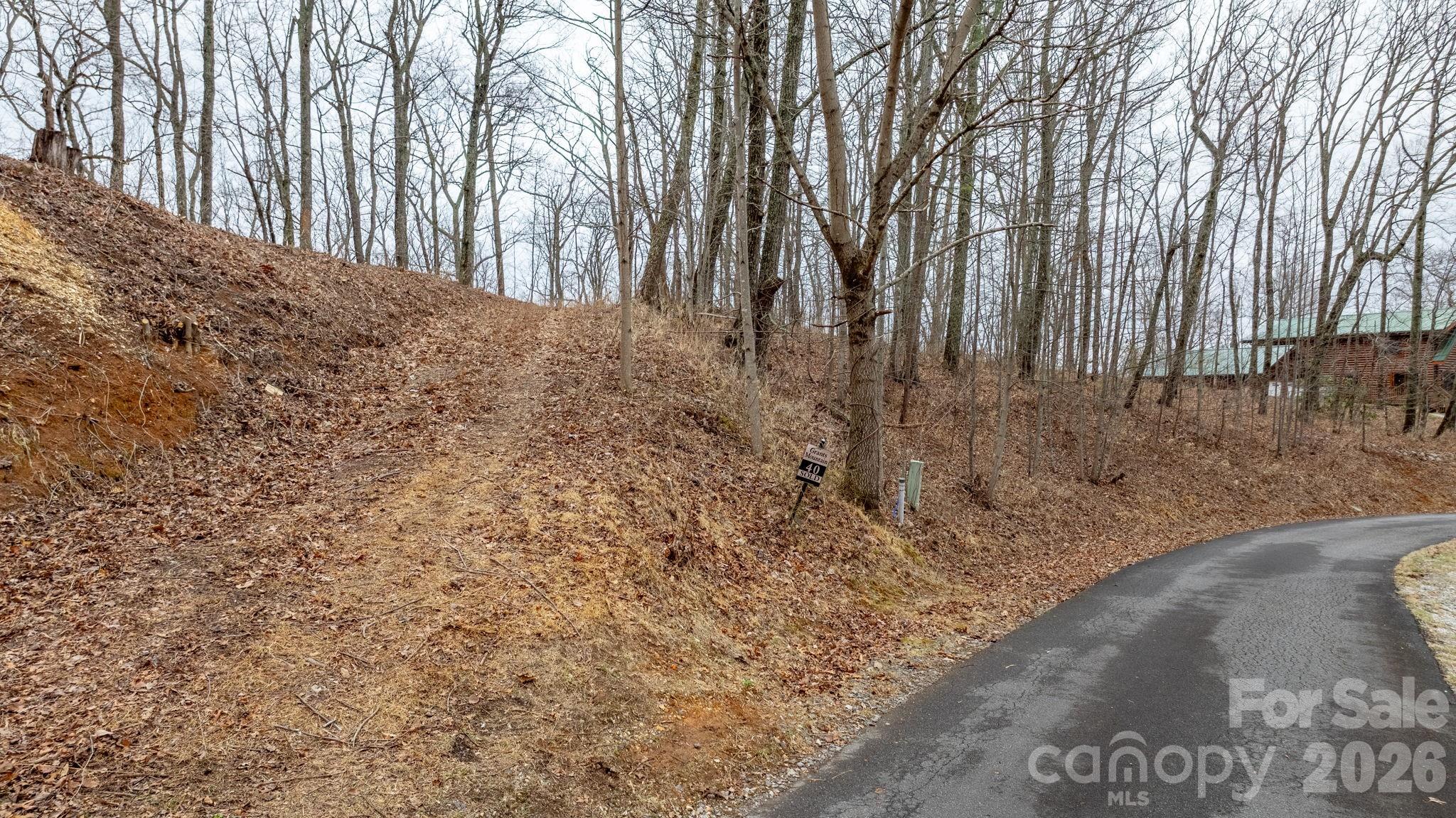 Lot at 0 Mountain Crest Drive S, Marion, photo 7 of 27
