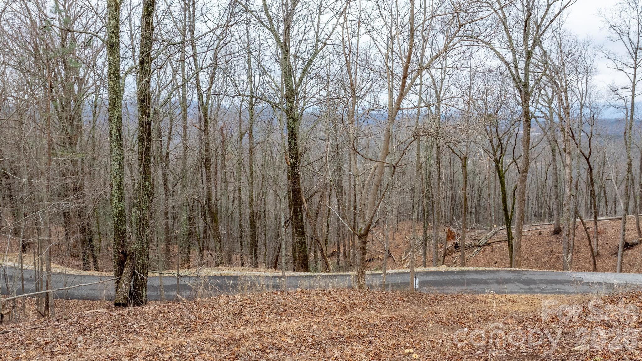 Lot at 0 Mountain Crest Drive S, Marion, photo 12 of 27
