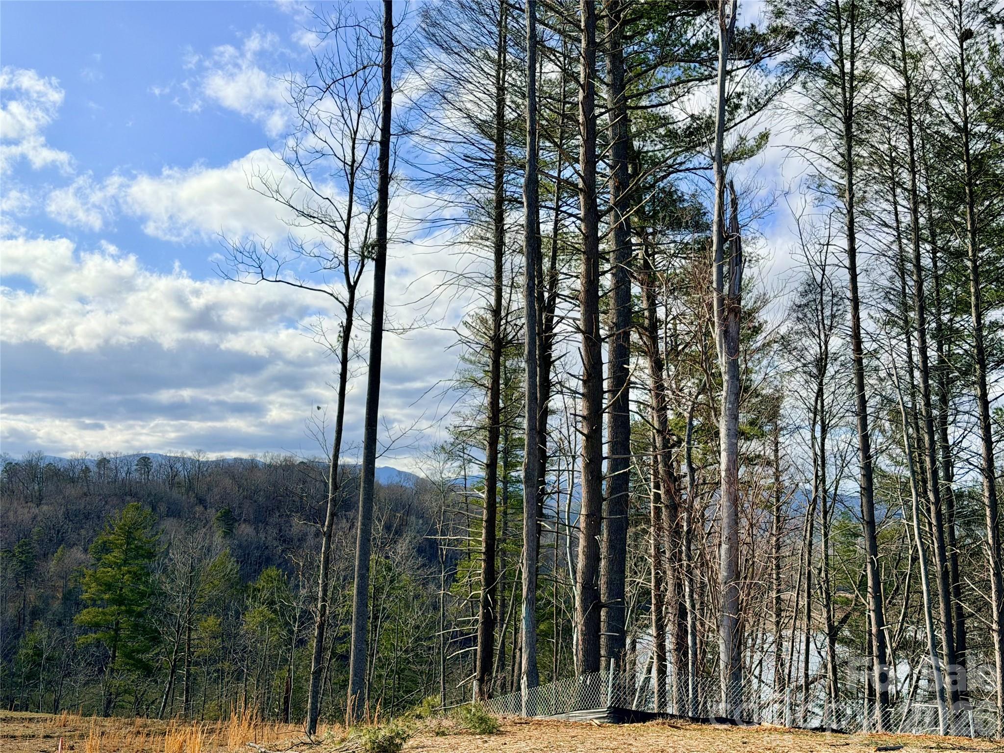 Lot at TBD Bluehill Parkway, Marion, photo 6 of 27