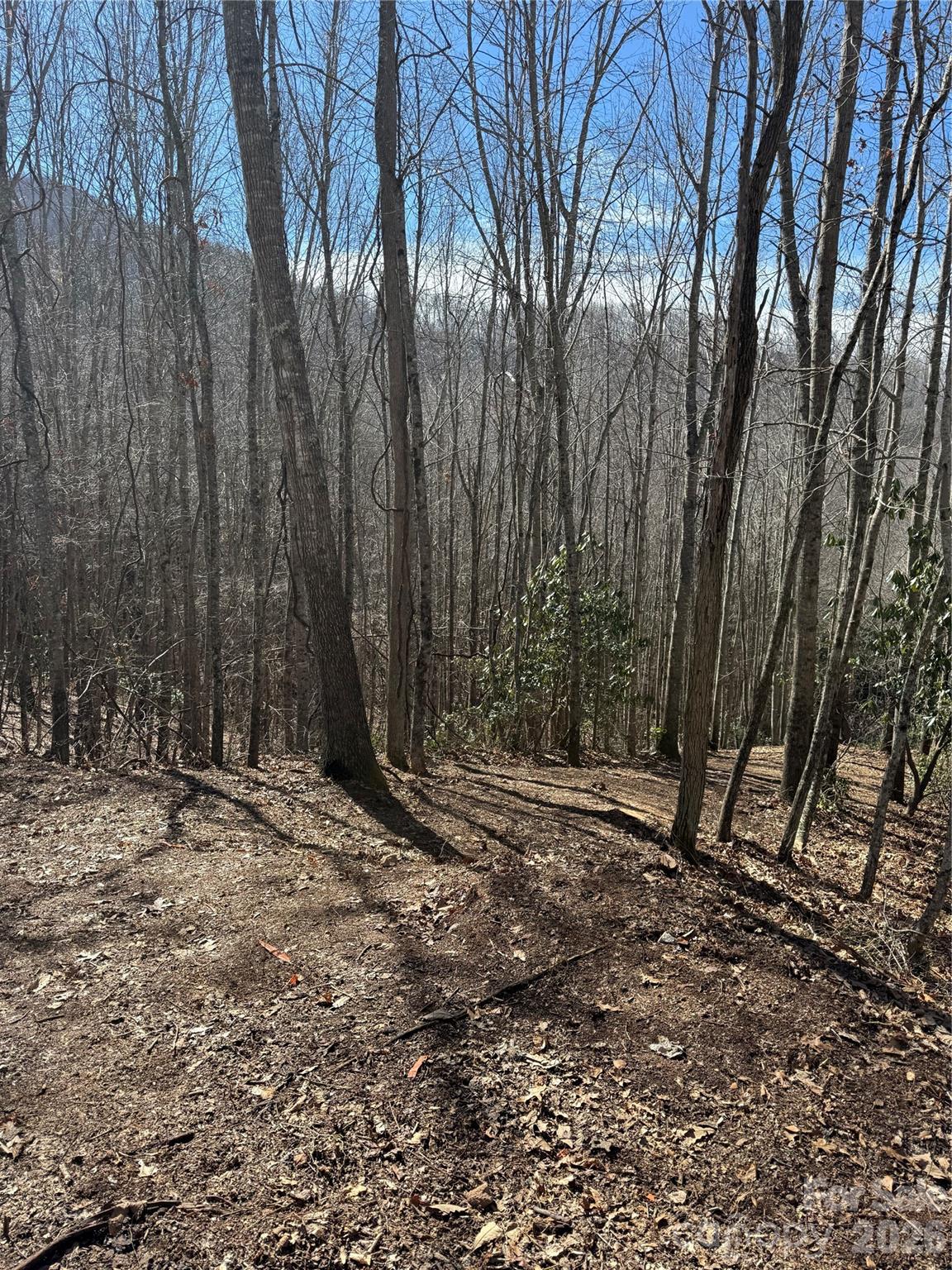 Lot at 236 Down The Hill Road, Sylva, photo 2 of 4