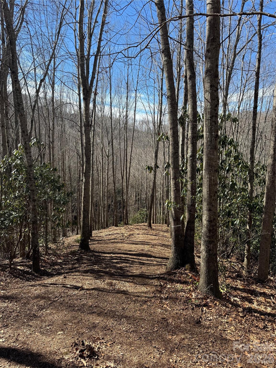 Lot at 236 Down The Hill Road, Sylva, photo 3 of 4