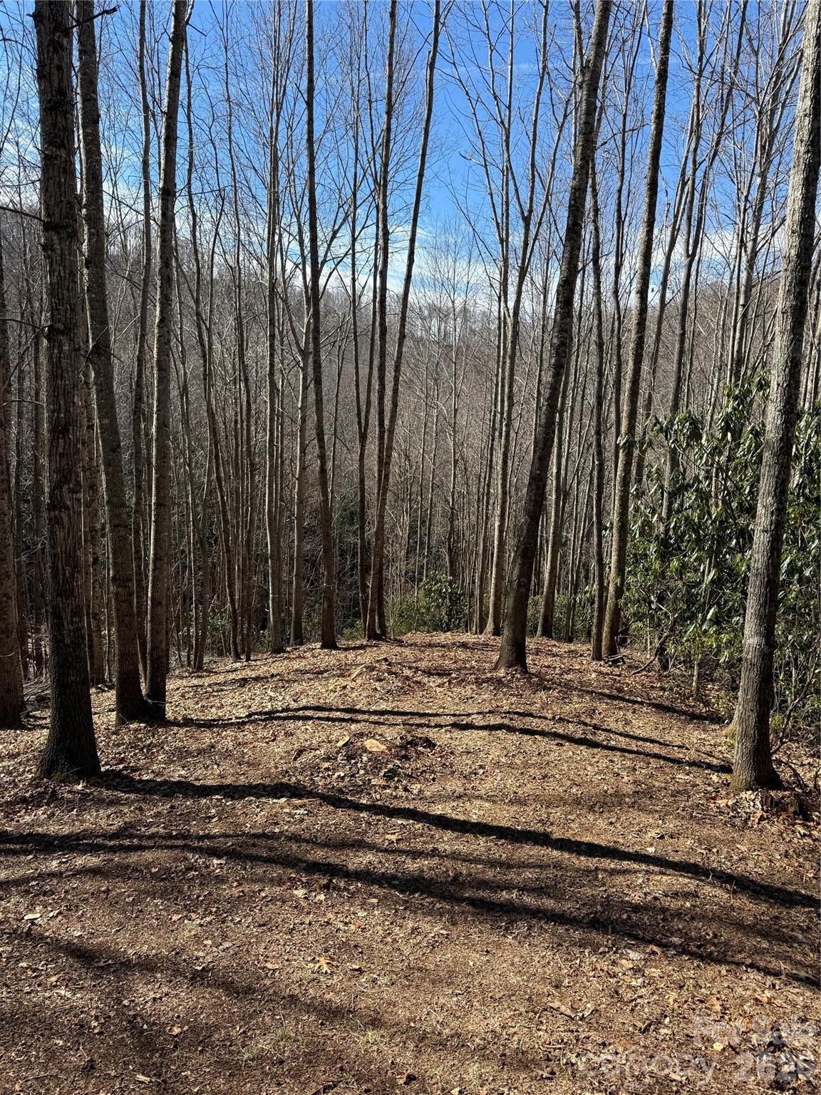 Lot at 236 Down The Hill Road, Sylva, photo 4 of 4