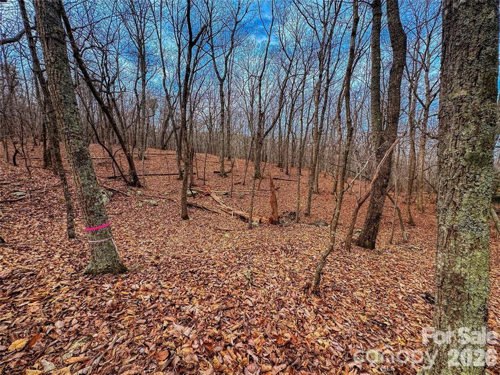 Lot at 750 Palisade Trail, Denton, photo 8 of 40