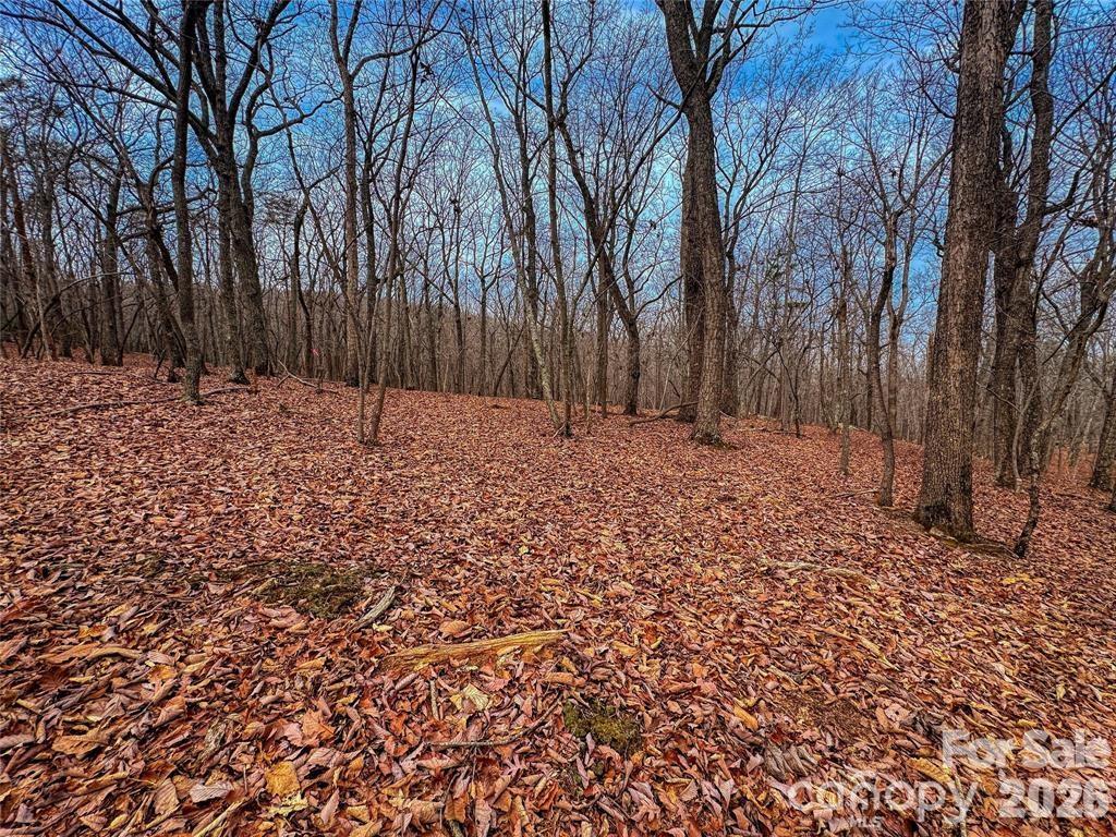 Lot at 750 Palisade Trail, Denton, photo 9 of 40