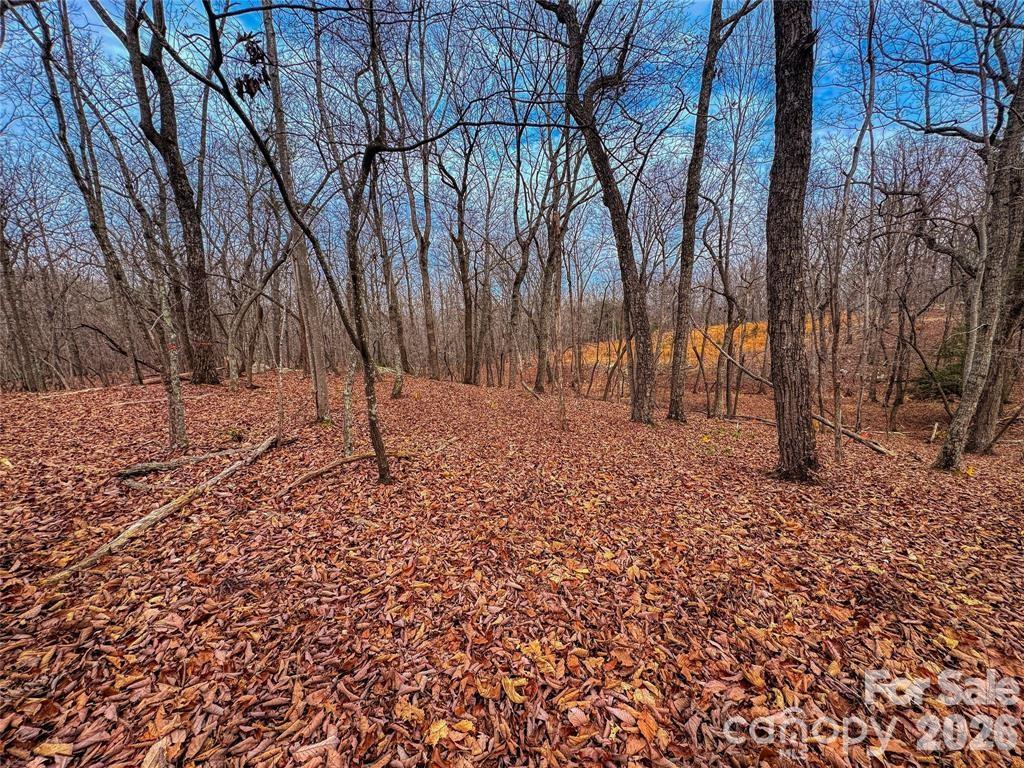 Lot at 750 Palisade Trail, Denton, photo 10 of 40