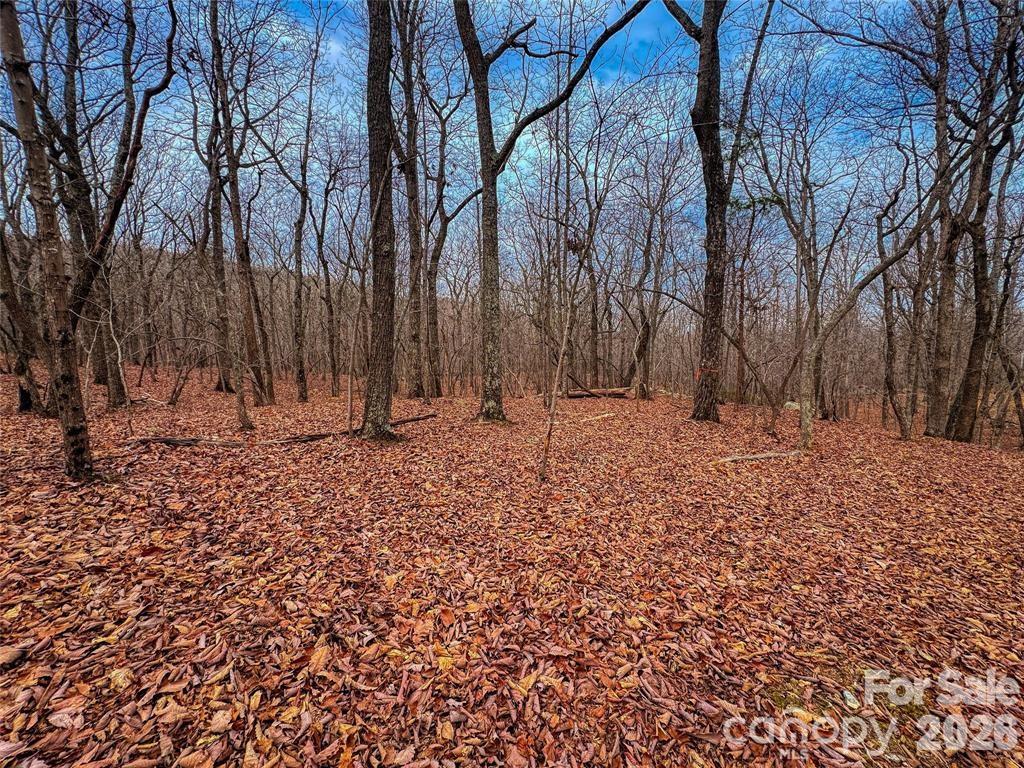 Lot at 750 Palisade Trail, Denton, photo 11 of 40