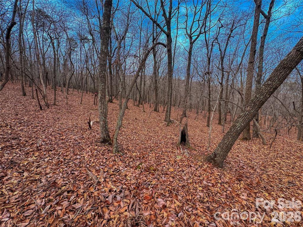 Lot at 750 Palisade Trail, Denton, photo 12 of 40