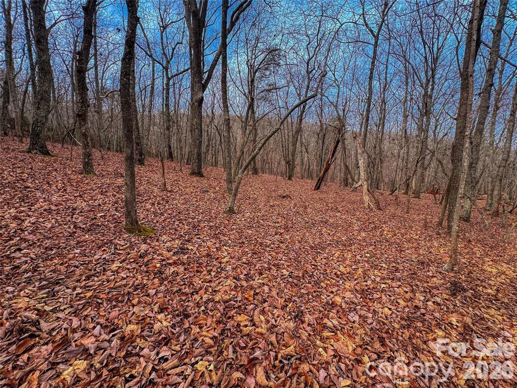 Lot at 750 Palisade Trail, Denton, photo 13 of 40