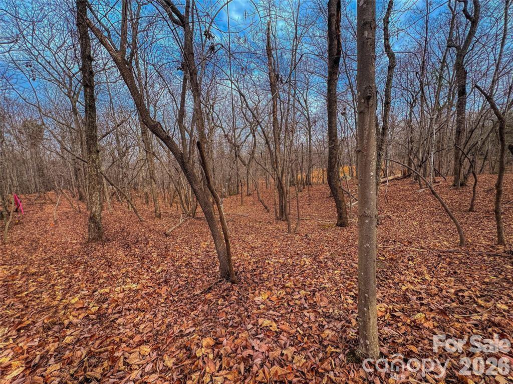 Lot at 750 Palisade Trail, Denton, photo 15 of 40