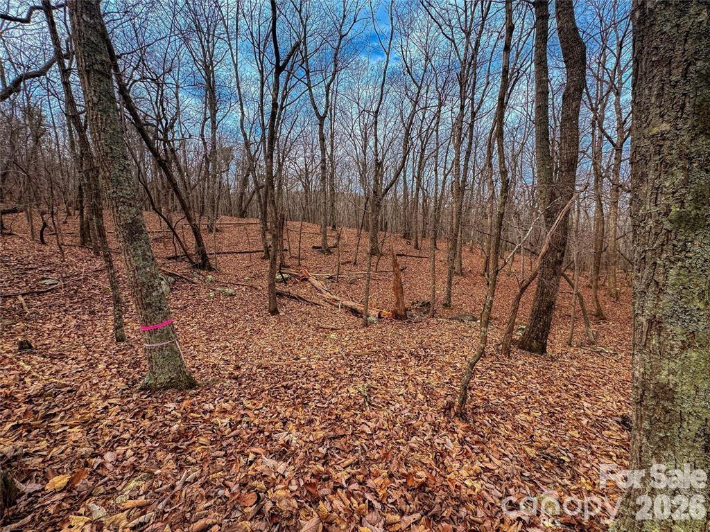 Lot at 750 Palisade Trail, Denton, photo 16 of 40