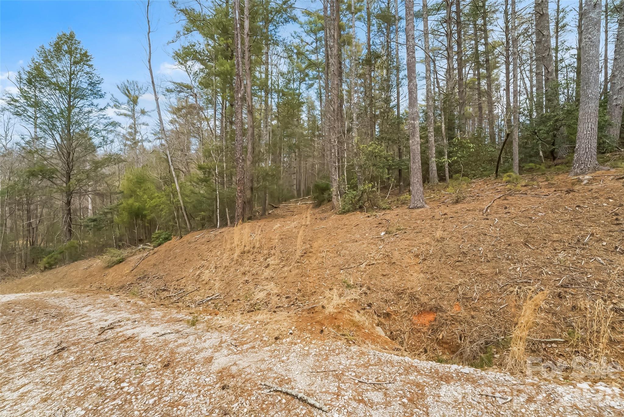Lot at 2086 October Drive, Nebo, photo 13 of 34