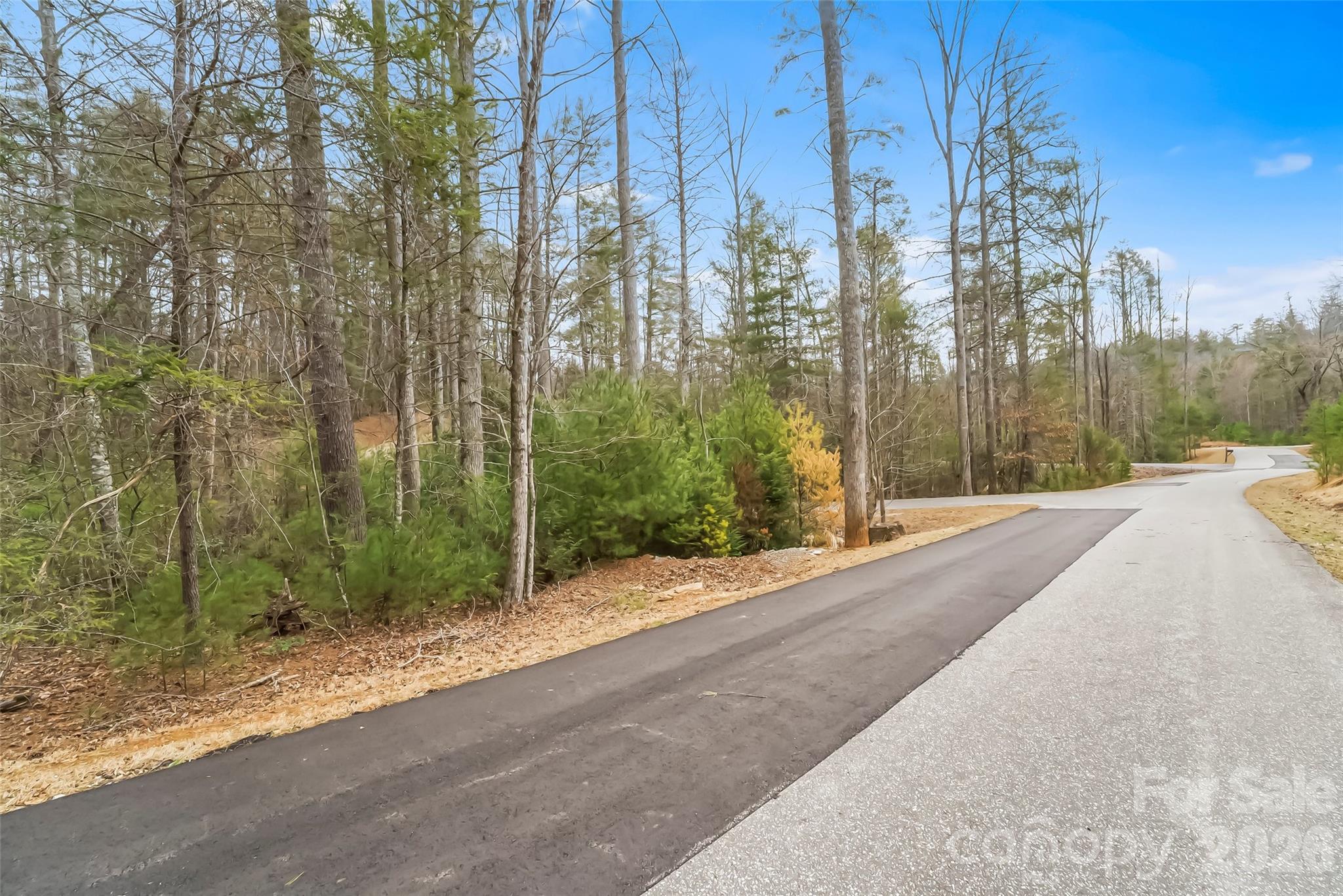 Lot at 2086 October Drive, Nebo, photo 16 of 34