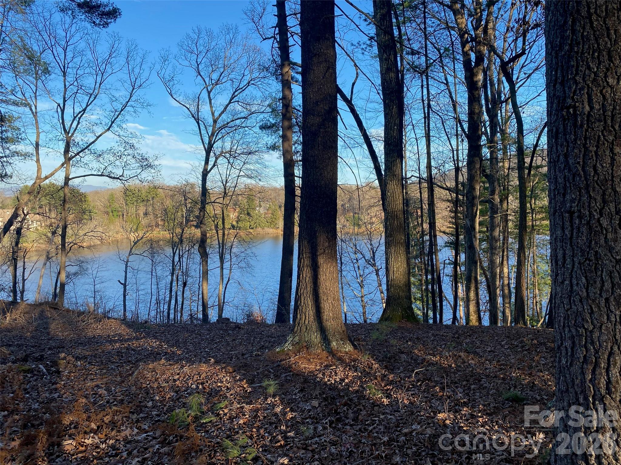 Views of the water from the lot - 17 Hendrickson Court, Candler