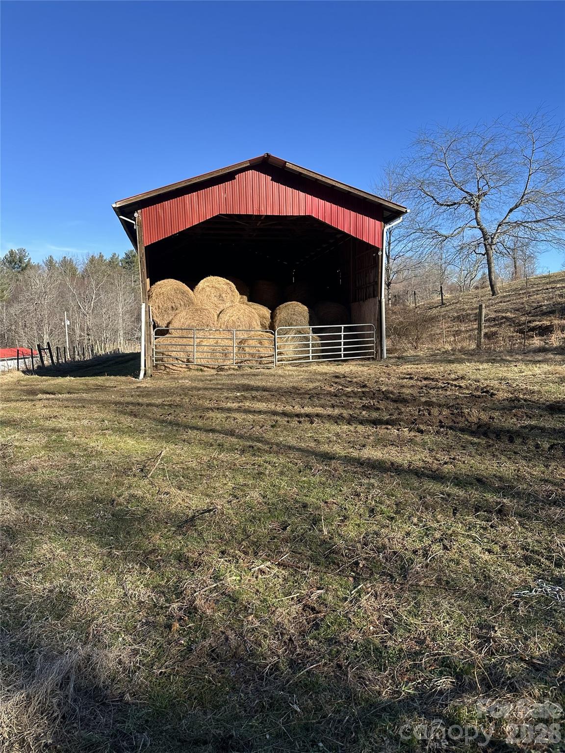 Acreage at 1050 Dale Road, Spruce Pine, photo 13 of 48