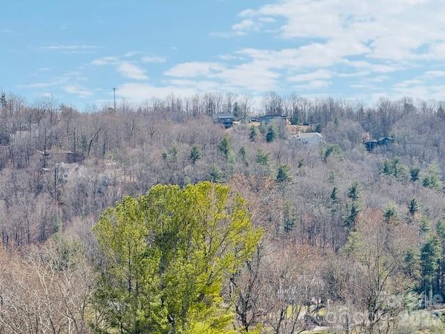 Condominium at 121 Burning Tree Lane, Flat Rock, photo 32 of 43