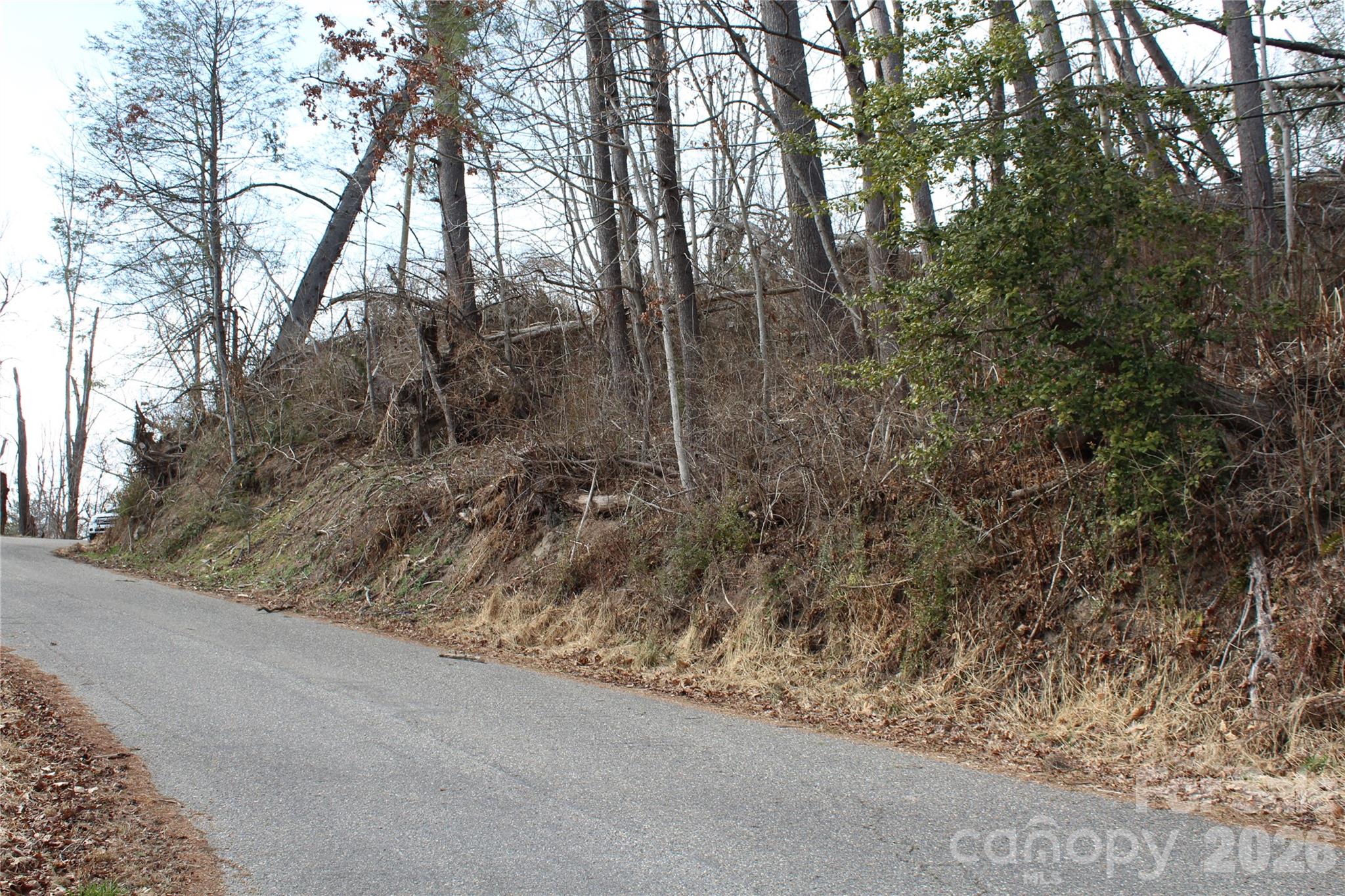 Lot at 00 Monte Vista Circle, Spruce Pine, photo 4 of 30