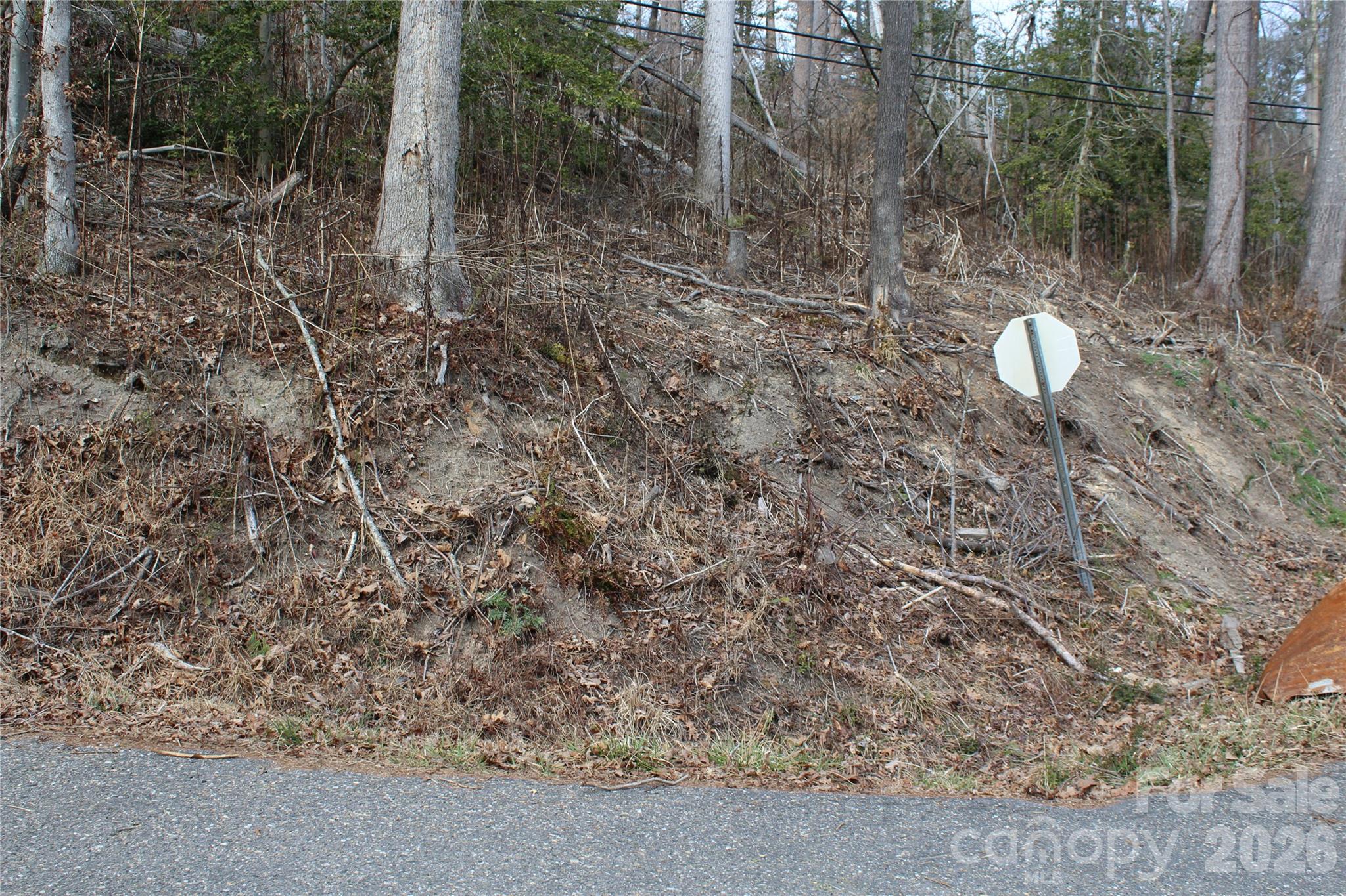 Lot at 00 Monte Vista Circle, Spruce Pine, photo 13 of 30