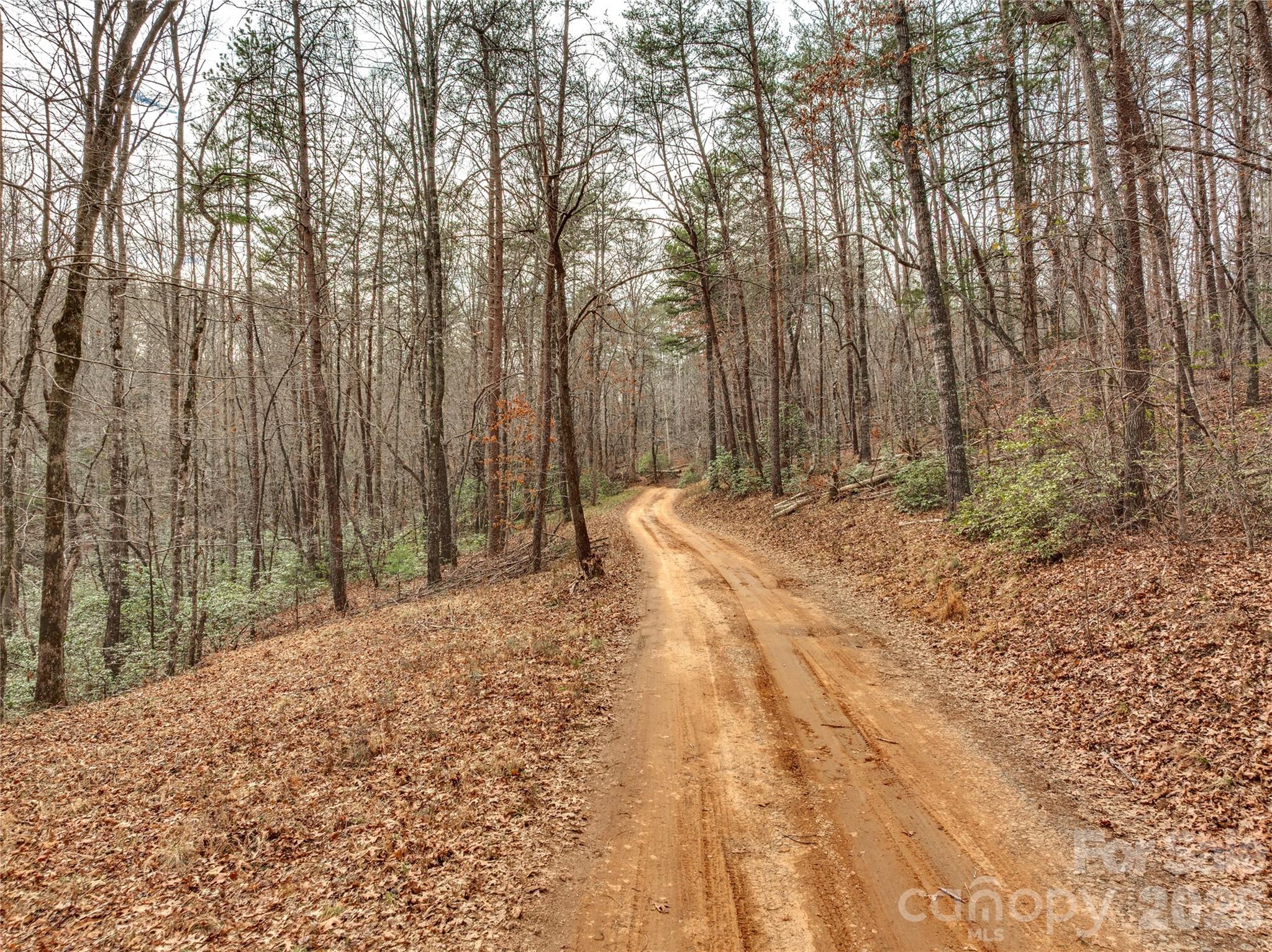 Acreage at Lots 4-7 Carmel Ridge, Rutherfordton, photo 6 of 19