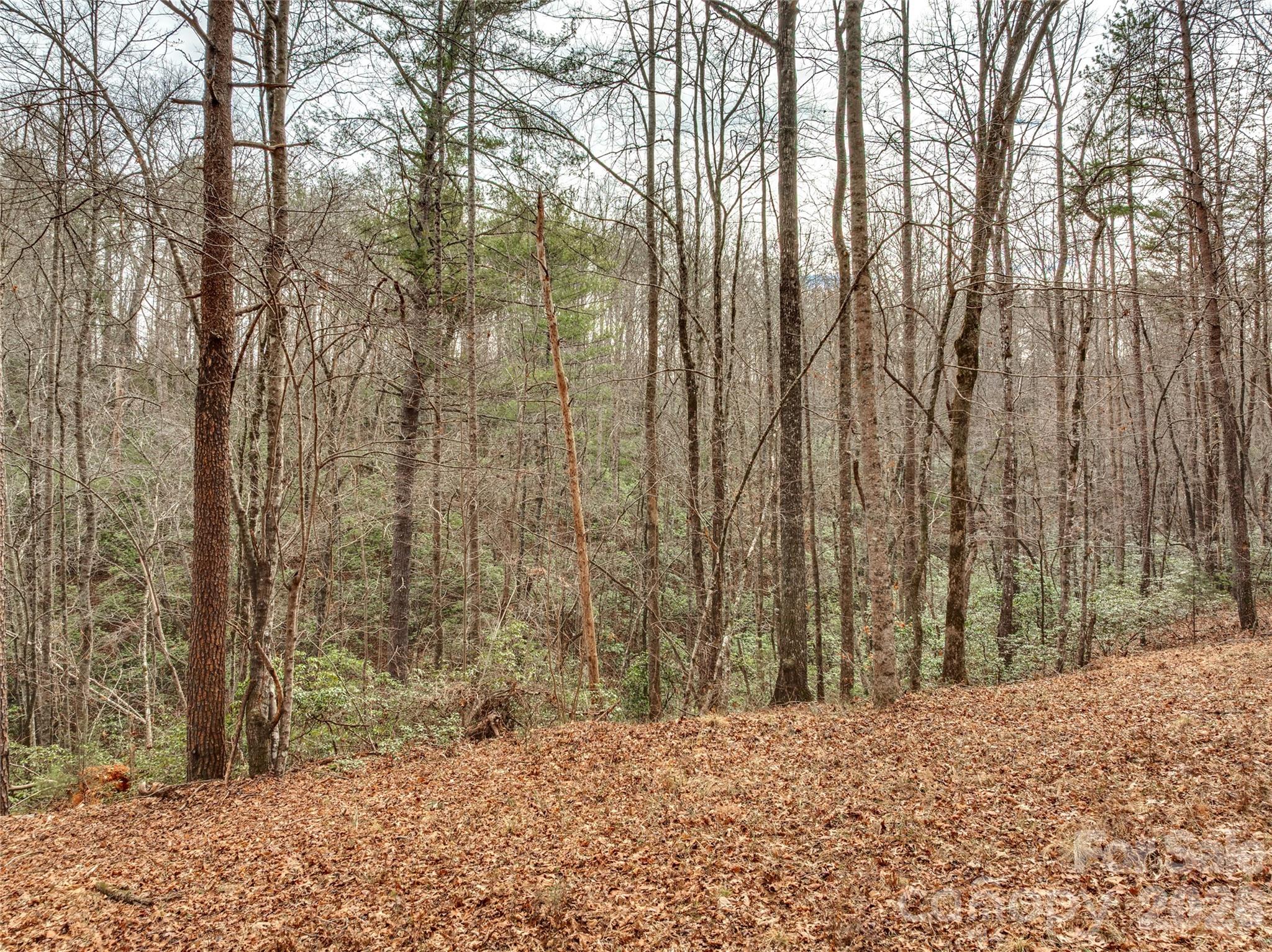 Acreage at Lots 4-7 Carmel Ridge, Rutherfordton, photo 7 of 19