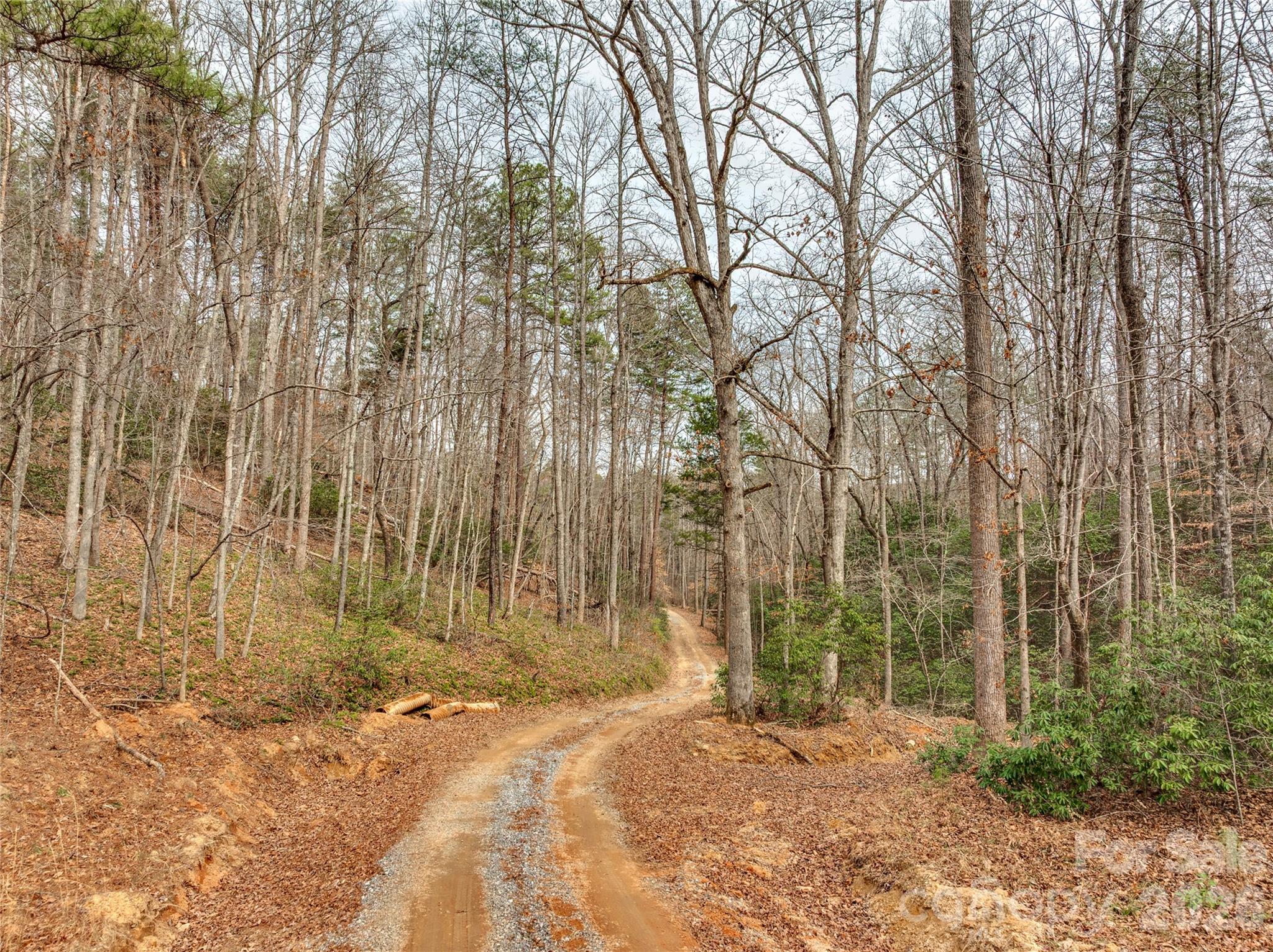 Acreage at Lots 4-7 Carmel Ridge, Rutherfordton, photo 8 of 19