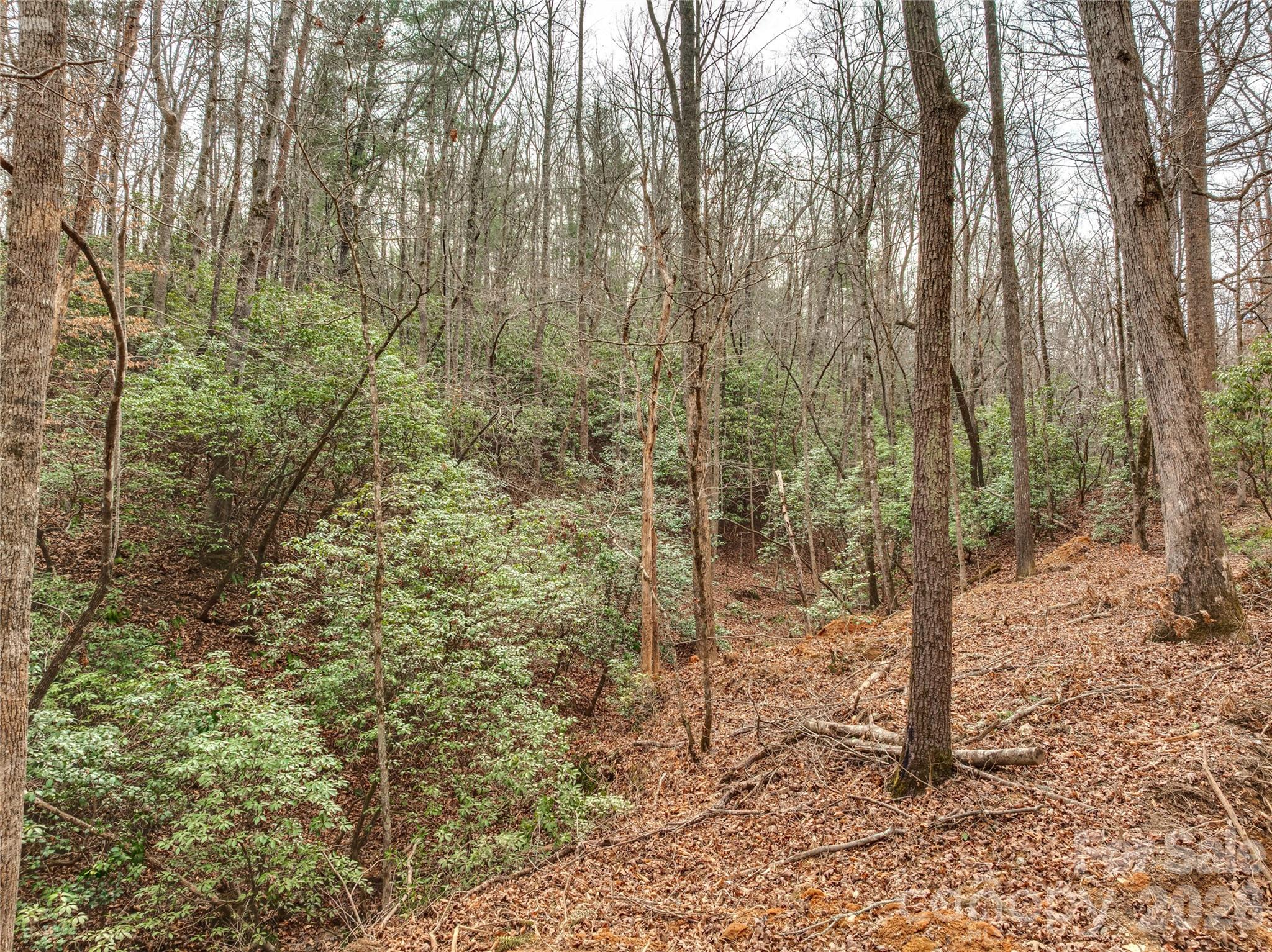 Acreage at Lots 4-7 Carmel Ridge, Rutherfordton, photo 9 of 19