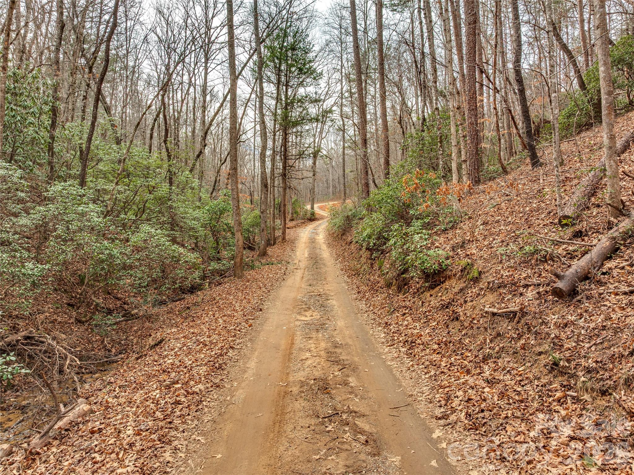 Acreage at Lots 4-7 Carmel Ridge, Rutherfordton, photo 10 of 19