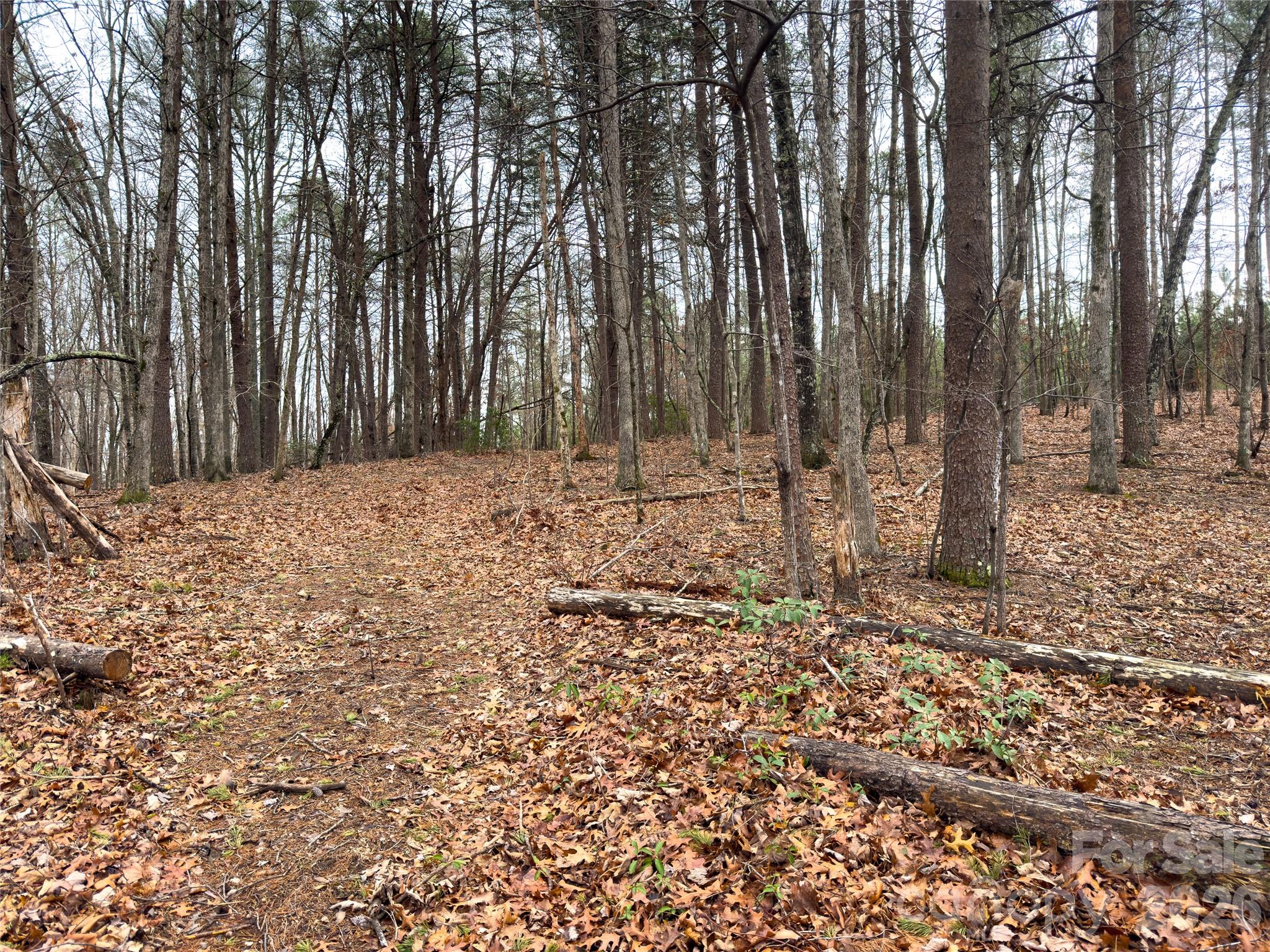 Acreage at Lots 4-7 Carmel Ridge, Rutherfordton, photo 11 of 19