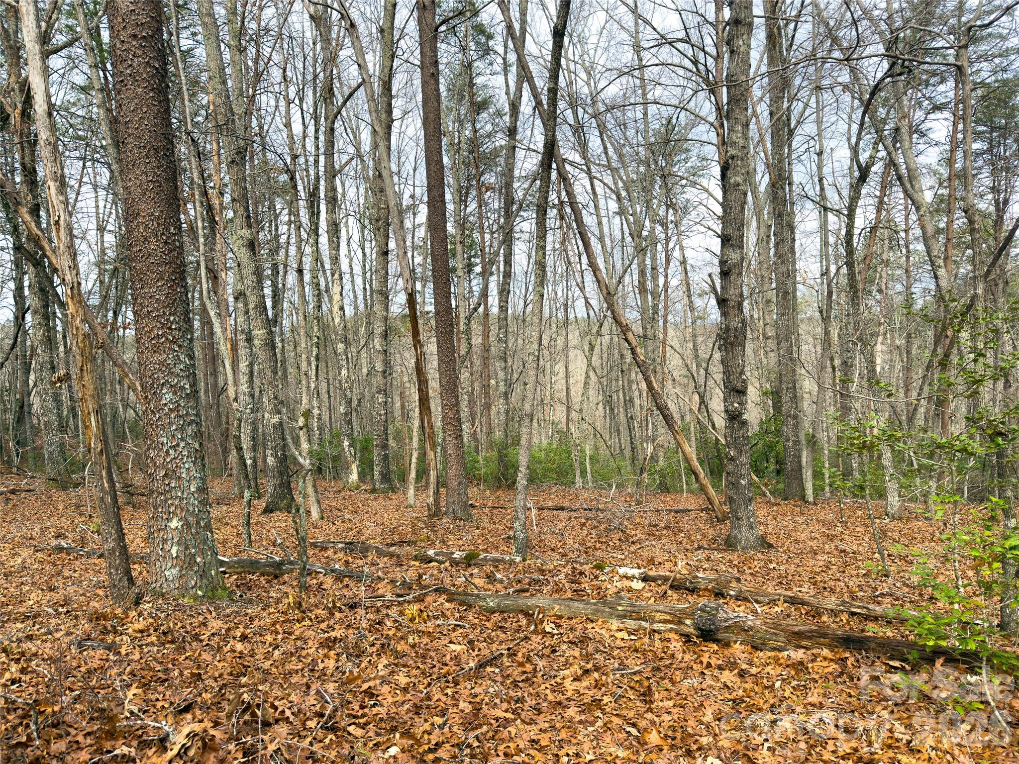 Acreage at Lots 4-7 Carmel Ridge, Rutherfordton, photo 12 of 19