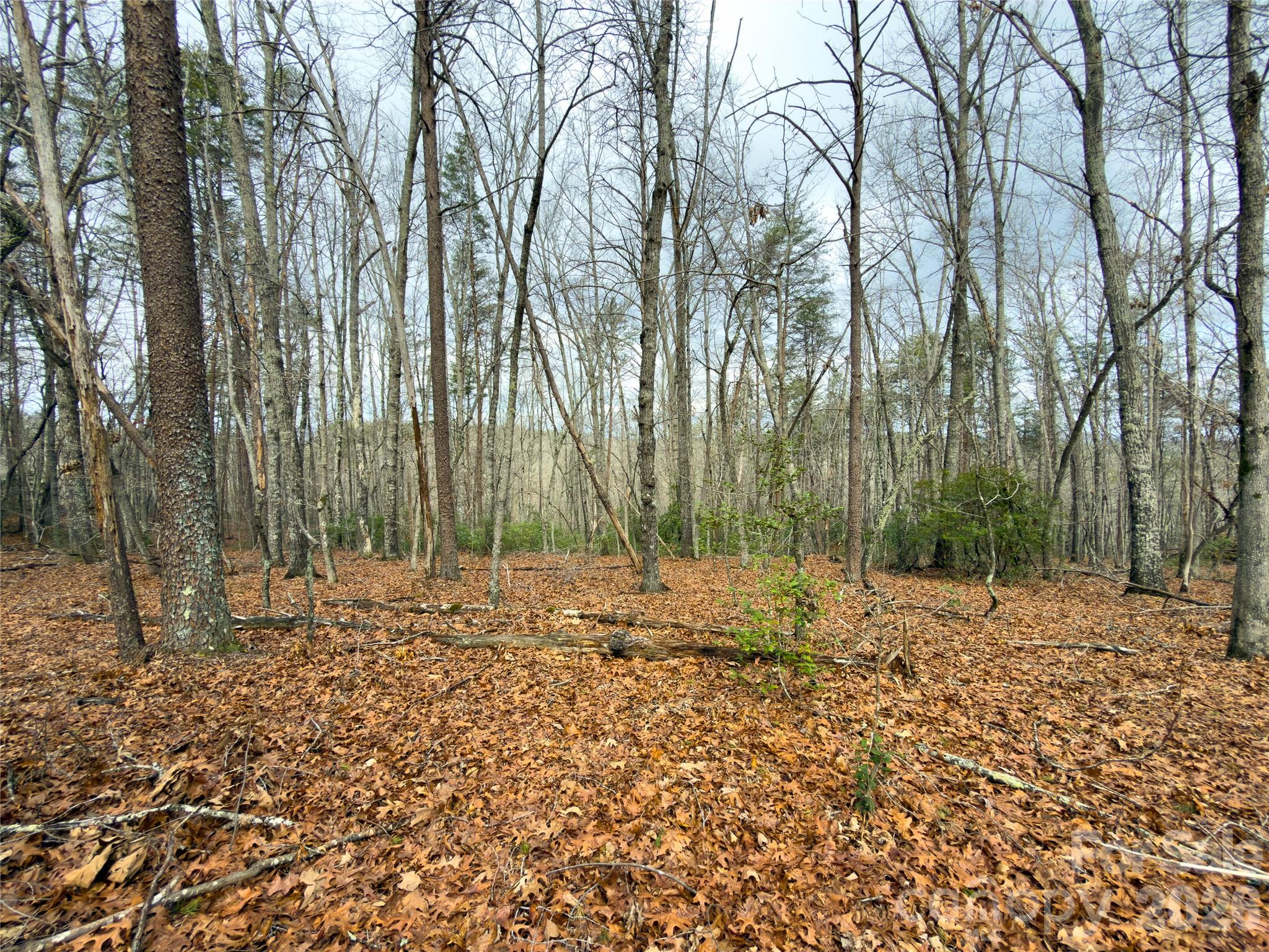 Acreage at Lots 4-7 Carmel Ridge, Rutherfordton, photo 3 of 19