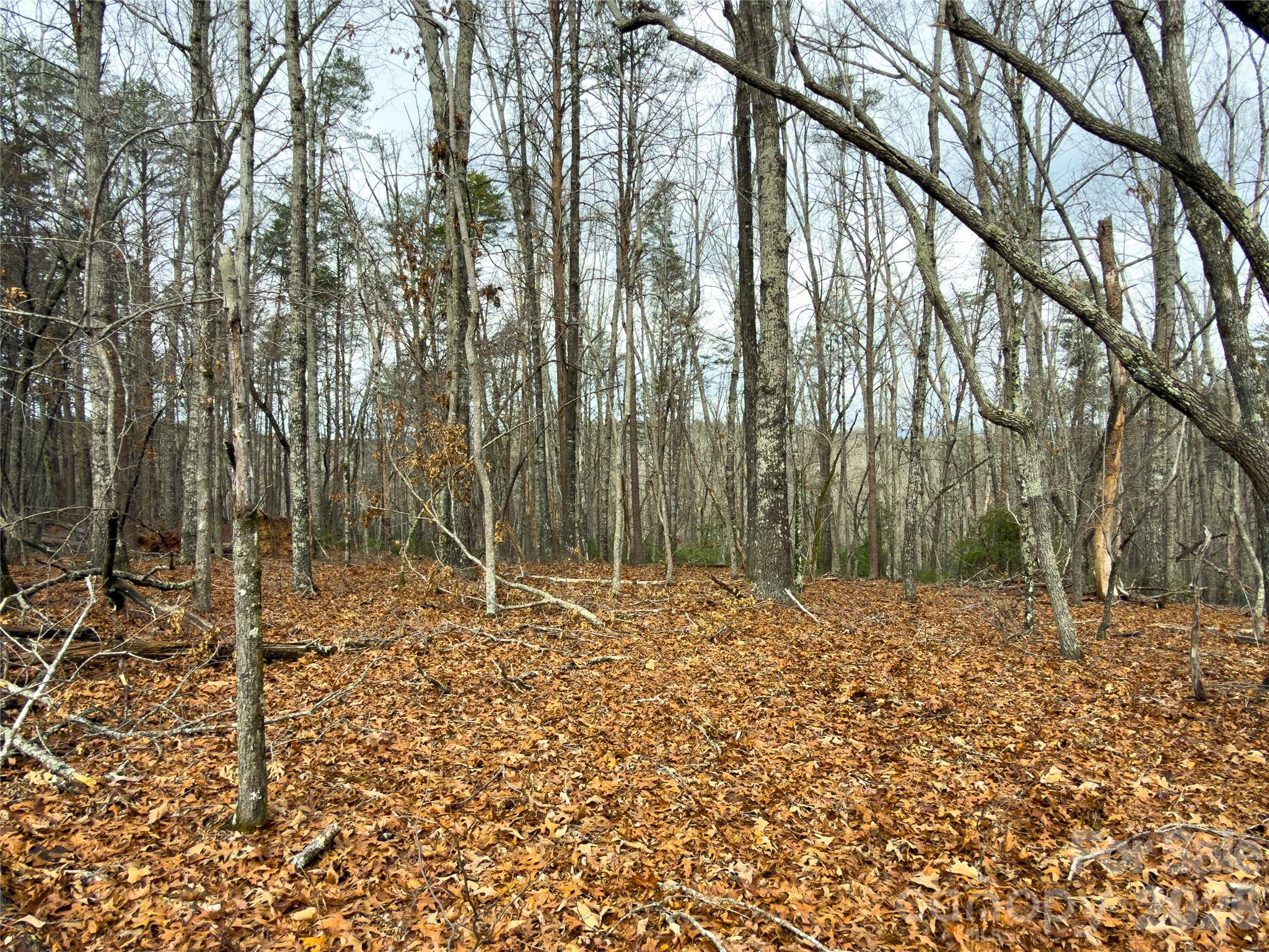 Acreage at Lots 4-7 Carmel Ridge, Rutherfordton, photo 13 of 19