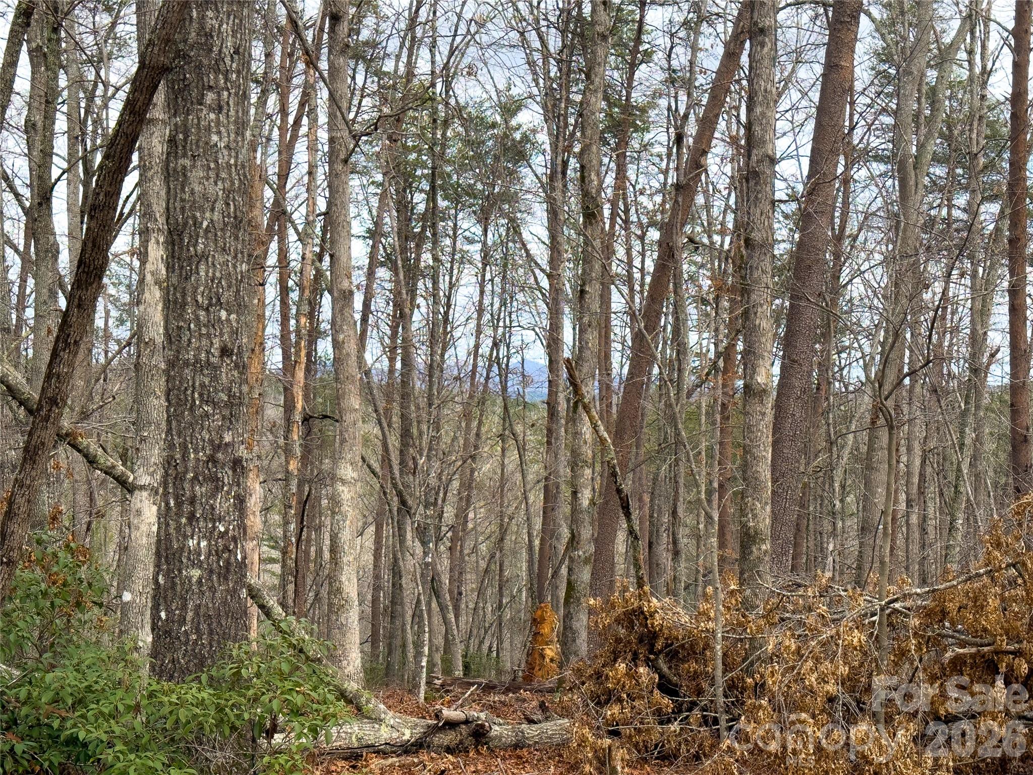 Acreage at Lots 4-7 Carmel Ridge, Rutherfordton, photo 14 of 19