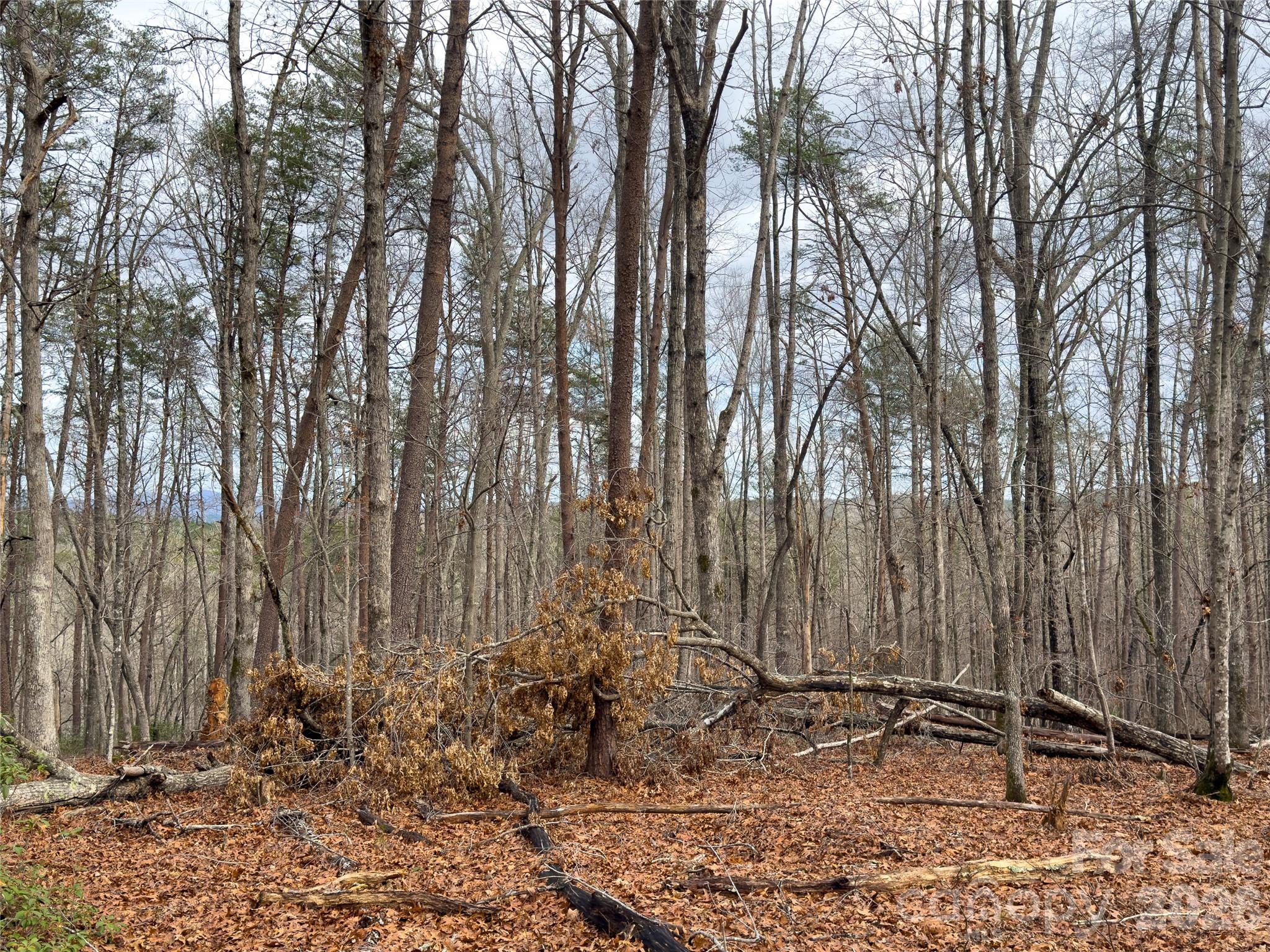 Acreage at Lots 4-7 Carmel Ridge, Rutherfordton, photo 15 of 19