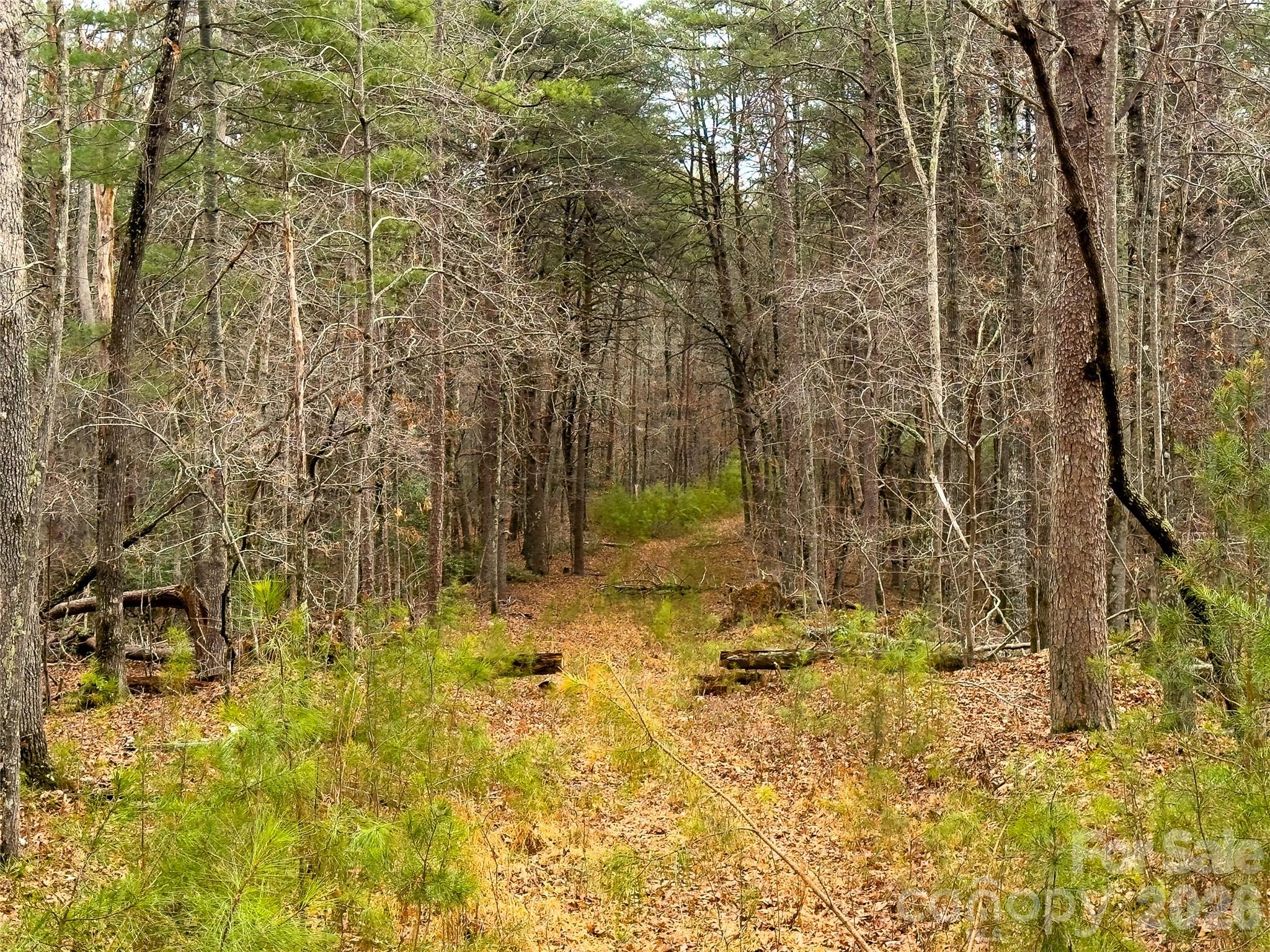 Acreage at Lots 4-7 Carmel Ridge, Rutherfordton, photo 4 of 19