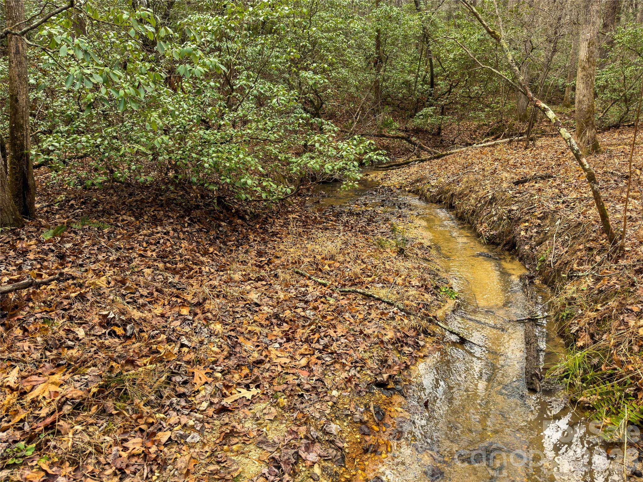 Acreage at Lots 4-7 Carmel Ridge, Rutherfordton, photo 2 of 19