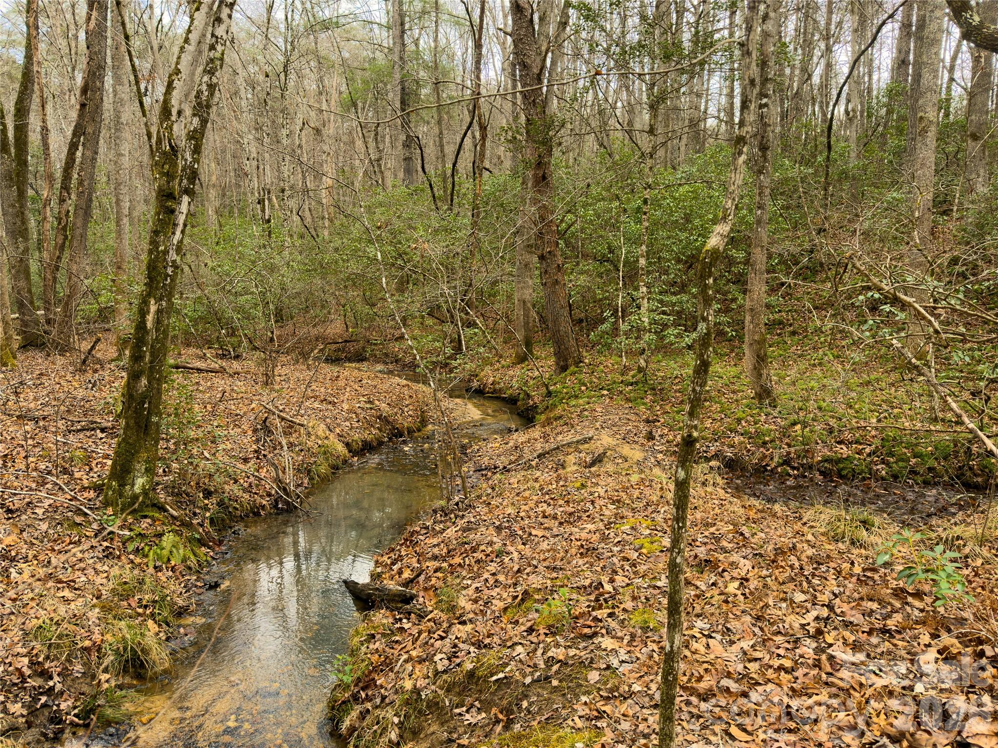 Acreage at Lots 4-7 Carmel Ridge, Rutherfordton, photo 17 of 19