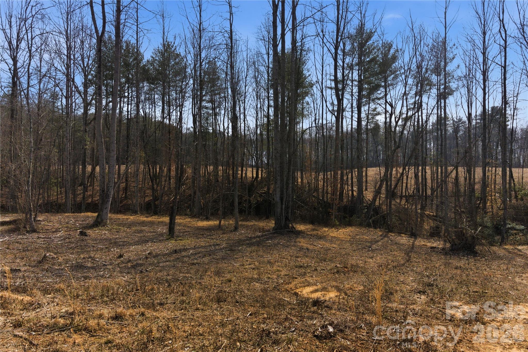 Acreage at 00 MCCURRY FARM Lane, Lincolnton, photo 12 of 33