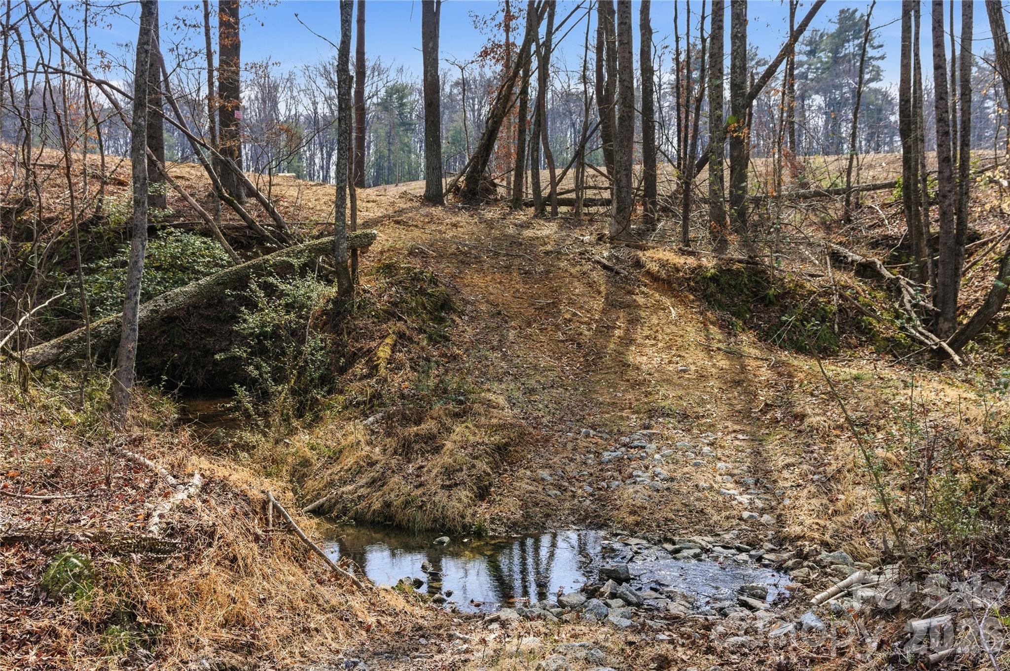 Creek creates a scenic separation between build area and back section. - 00 MCCURRY FARM Lane, Lincolnton