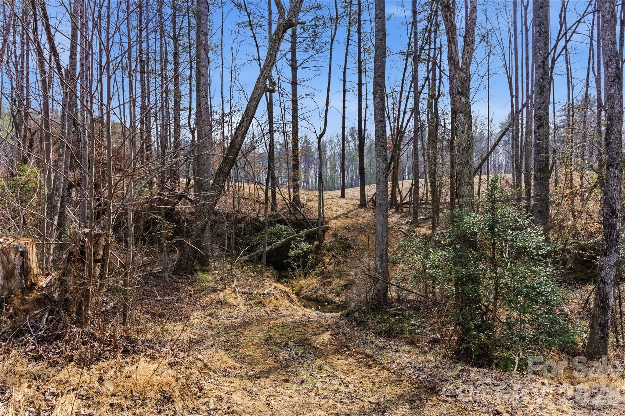 Acreage at 00 MCCURRY FARM Lane, Lincolnton, photo 14 of 33