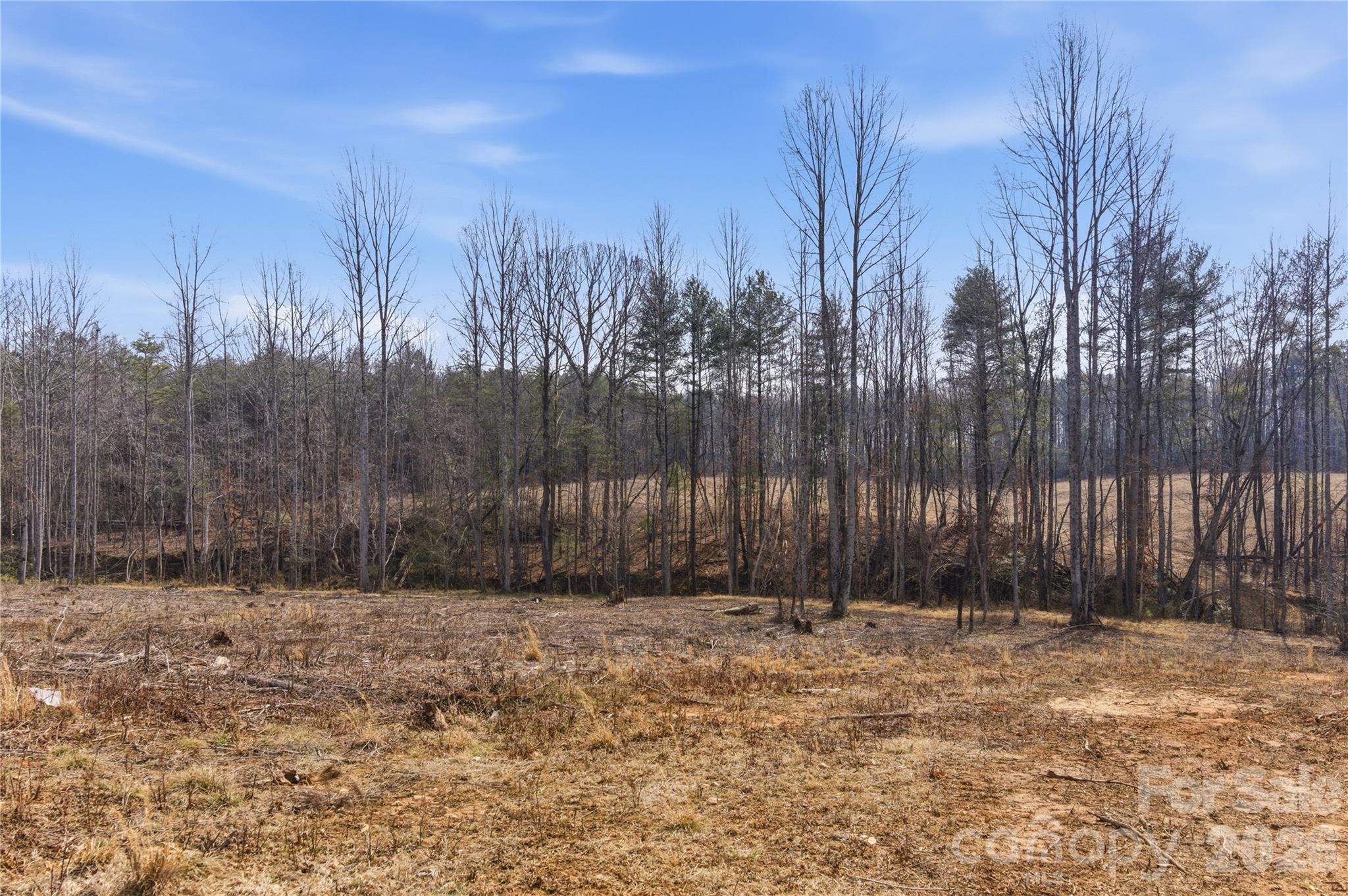 Acreage at 00 MCCURRY FARM Lane, Lincolnton, photo 17 of 33