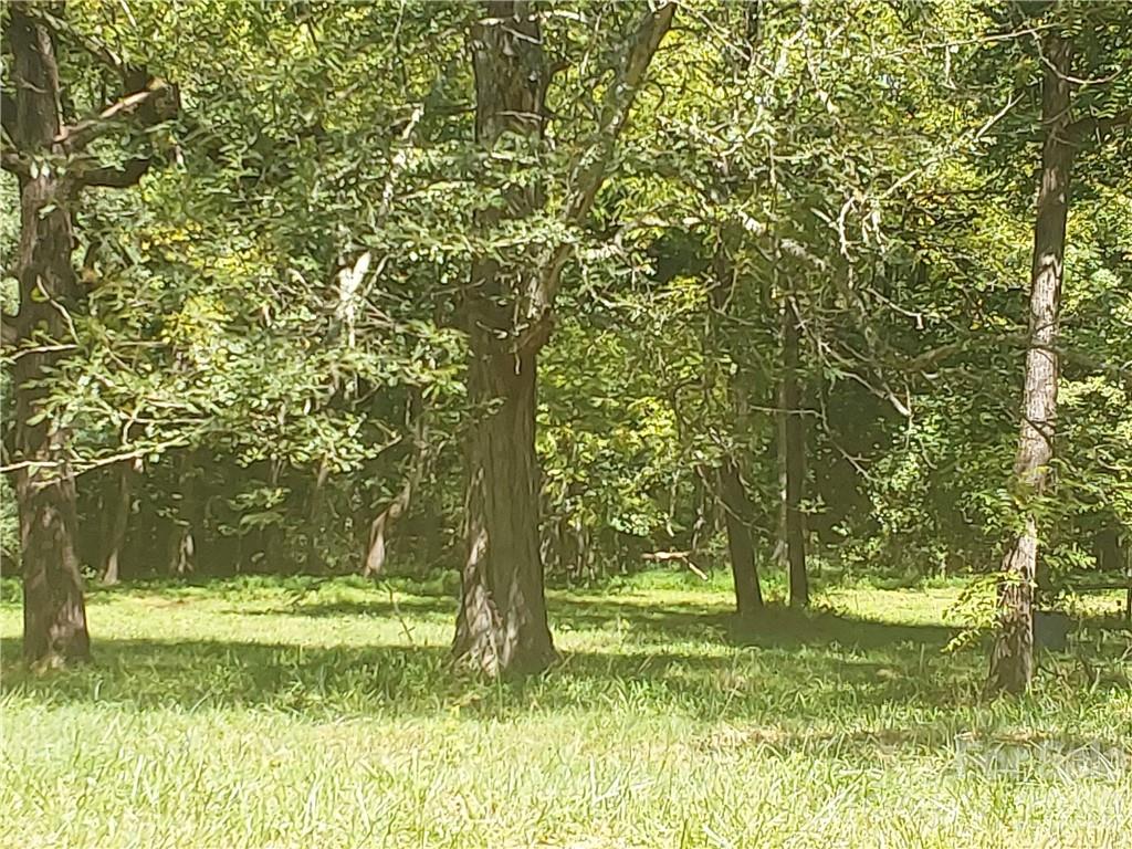 Acreage at 00 Requa Road, Cherryville, photo 19 of 26