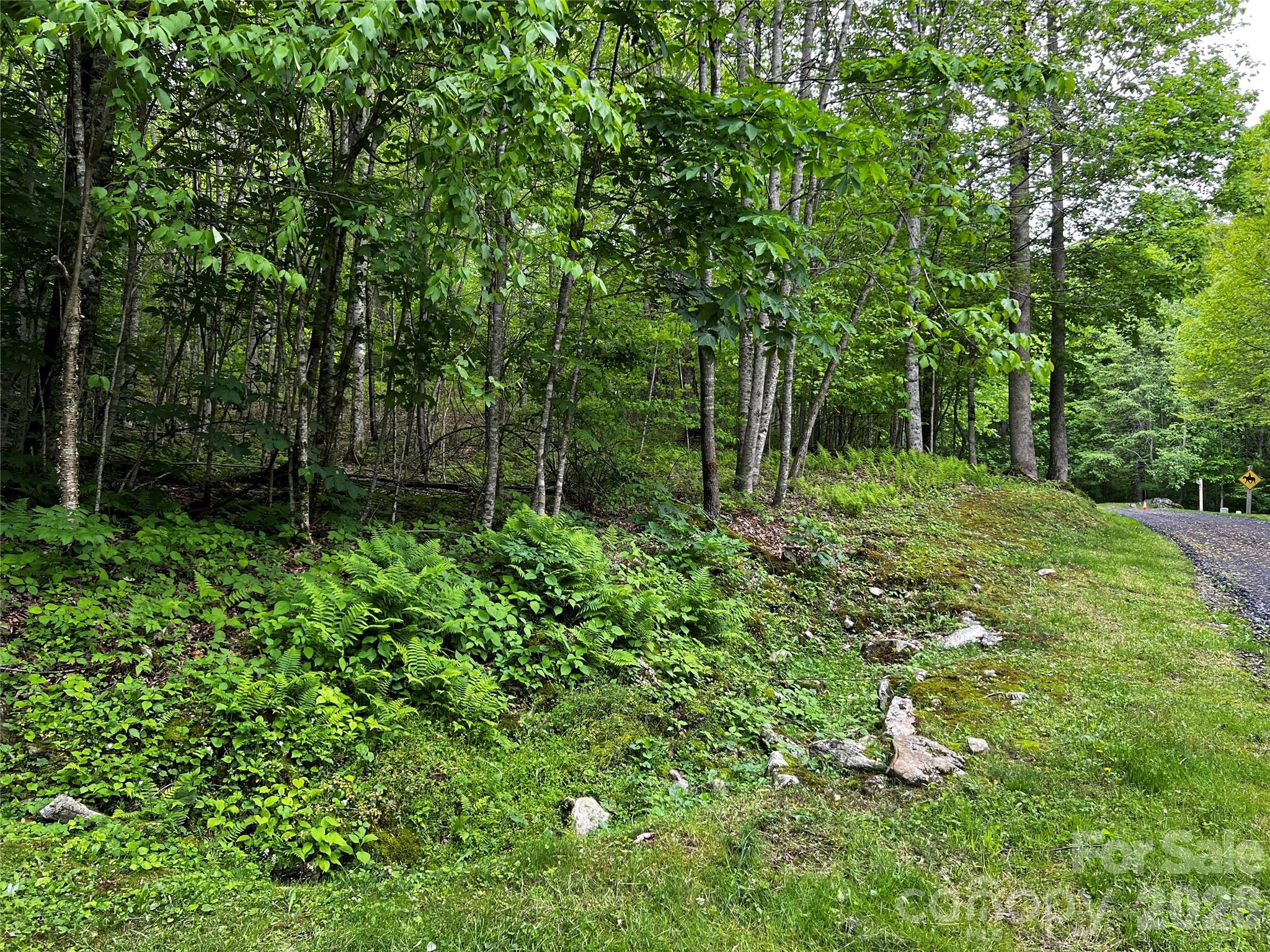 Lot at 1 Pearl Way, Mars Hill, photo 3 of 17