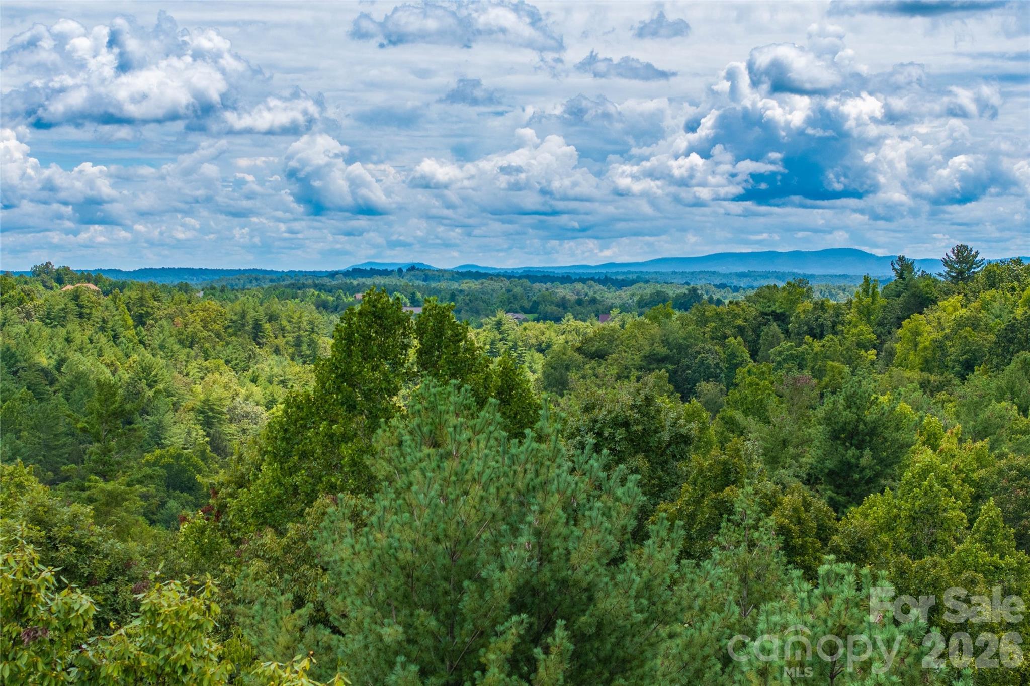 Lot at 5.5 Acres Dogwood Way, Lenoir