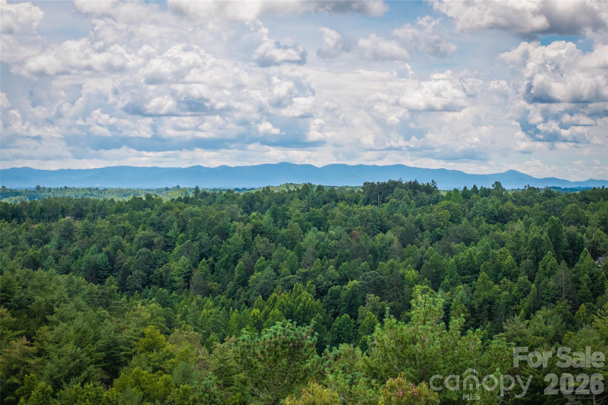 Lot at 5.5 Acres Dogwood Way, Lenoir, photo 2 of 16