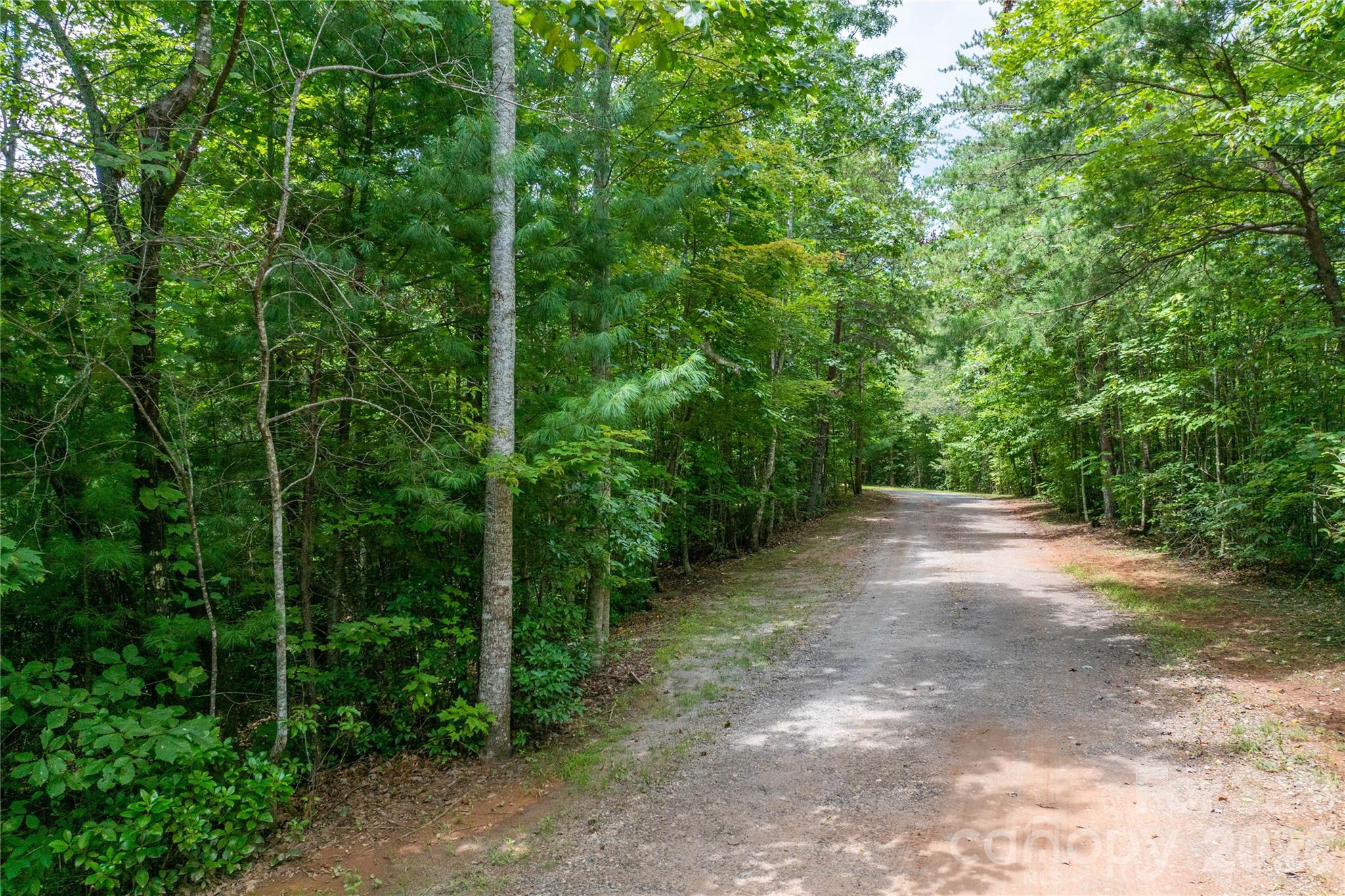 Lot at 5.5 Acres Dogwood Way, Lenoir, photo 10 of 16